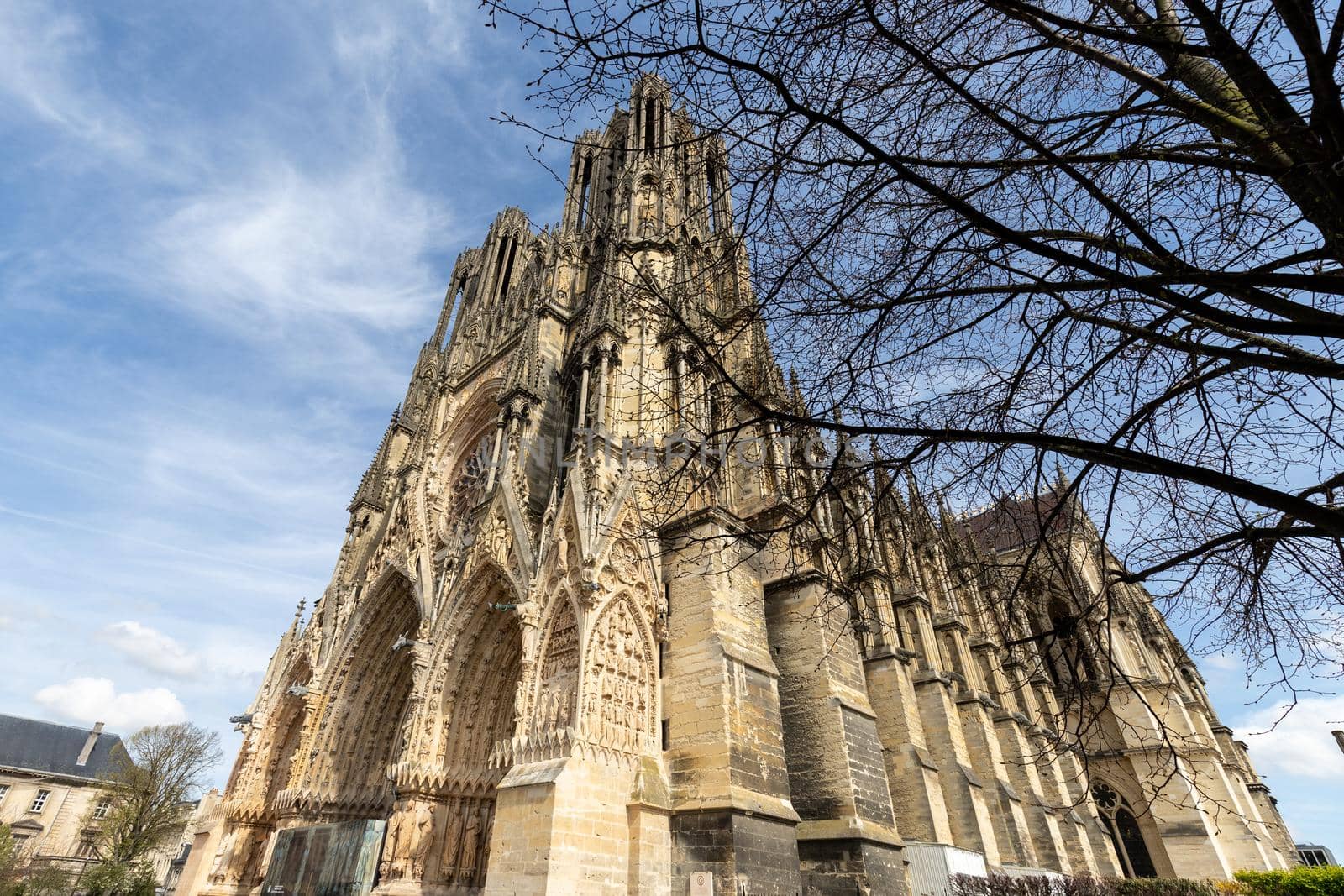 Wide angle view at cathedral Notre Dame in Reims, France with tree in foreground