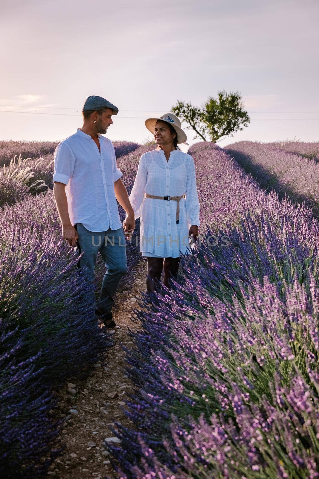 Provence, Lavender field France, Valensole Plateau, colorful field of Lavender Valensole Plateau, Provence, Southern France. Lavender field. Europe. Couple men and woman on vacation at the provence lavender fields,