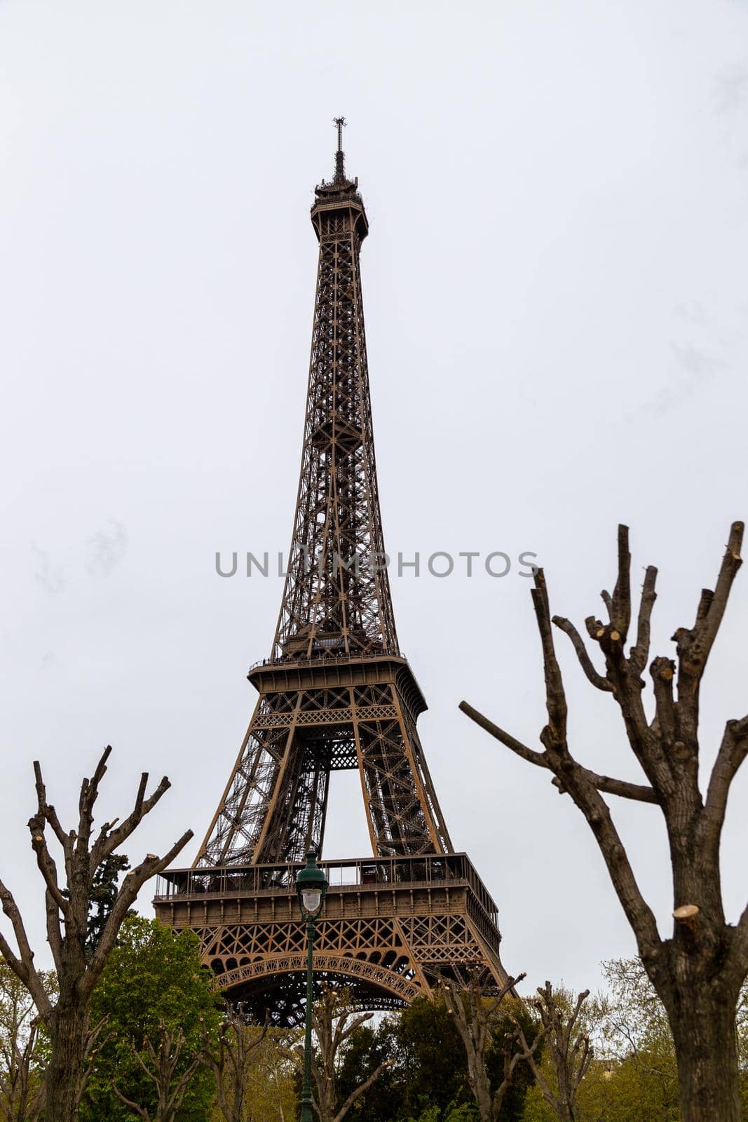 View at Eiffel Tower in Paris, France with trees in the foreground