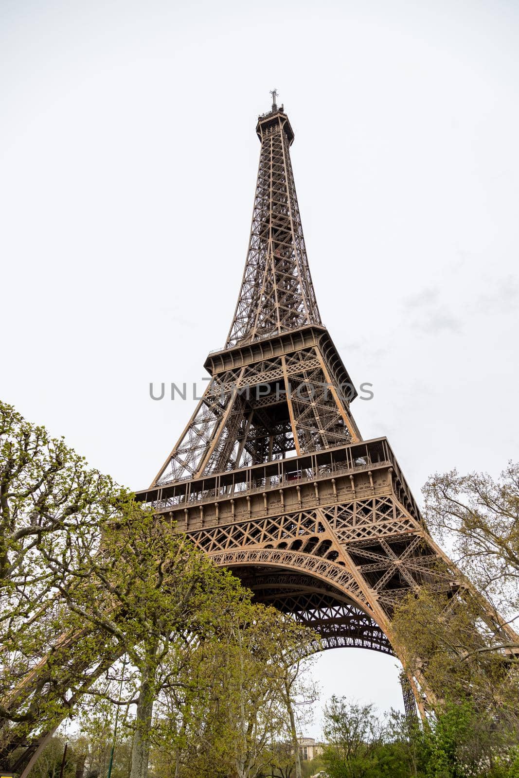 View at Eiffel Tower in Paris with trees in the foreground by reinerc