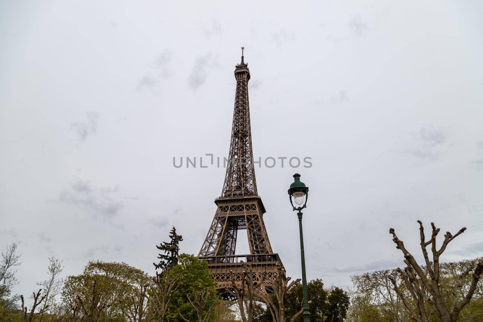 View at Eiffel Tower in Paris, France with trees and street lamp in the foreground