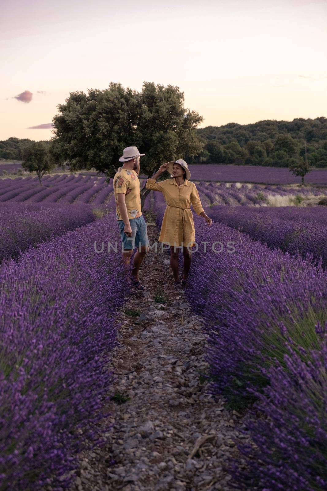 Ardeche lavender fields in the south of France during sunset, Lavender fields in Ardeche in southeast France, couple men and woman watching sunset in lavender fields in the south of France by fokkebok