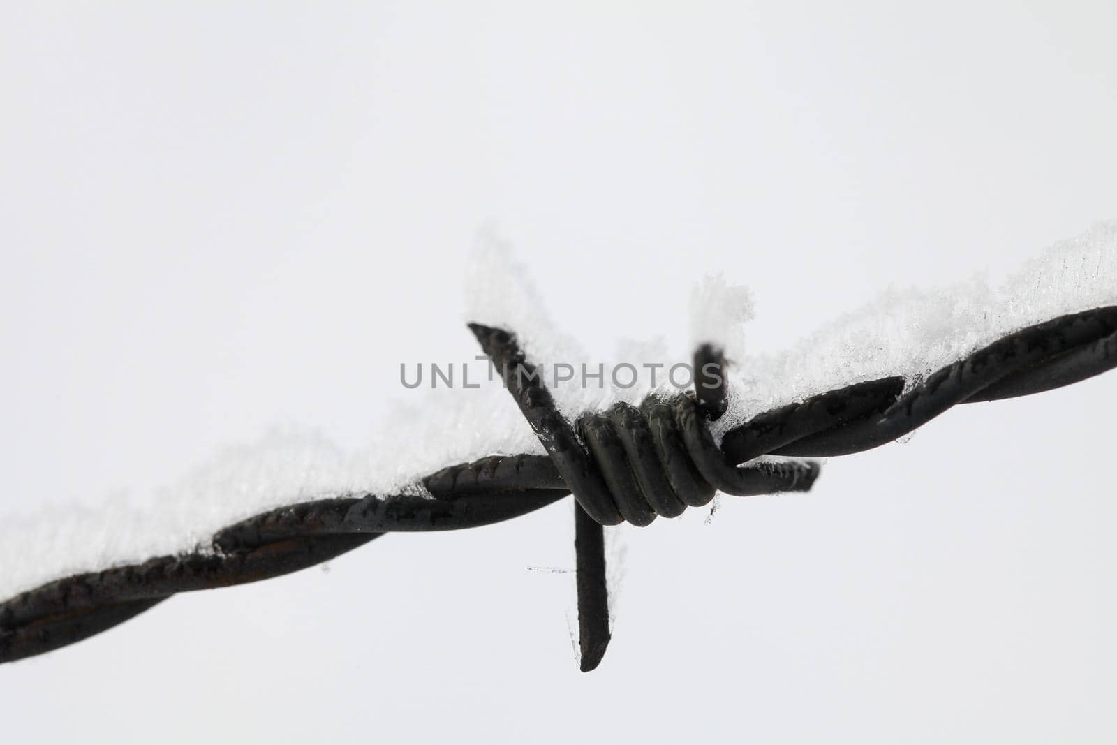 Snow covered barbed wire by Kasparart