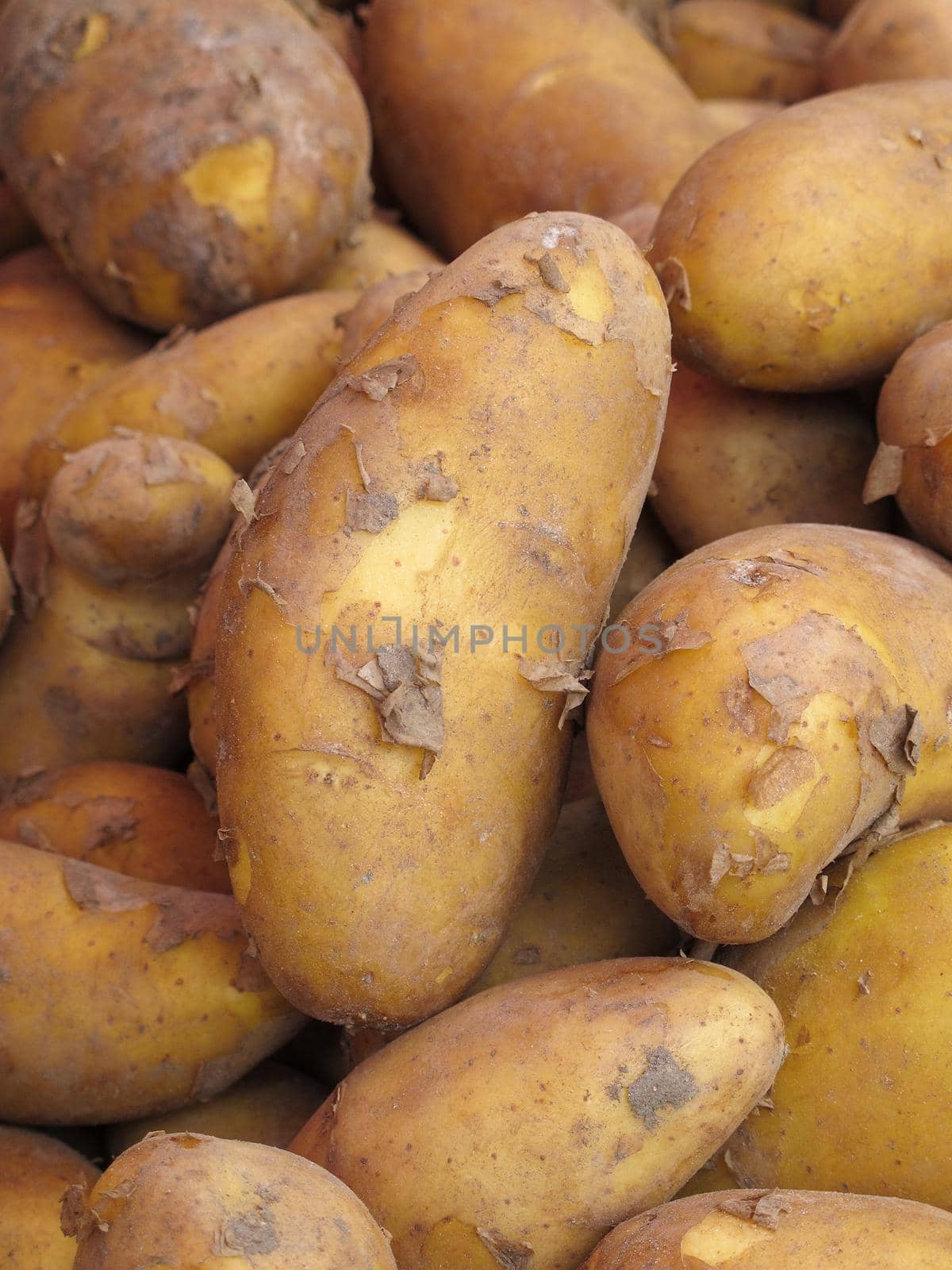 Many potatoes on a farmer's market