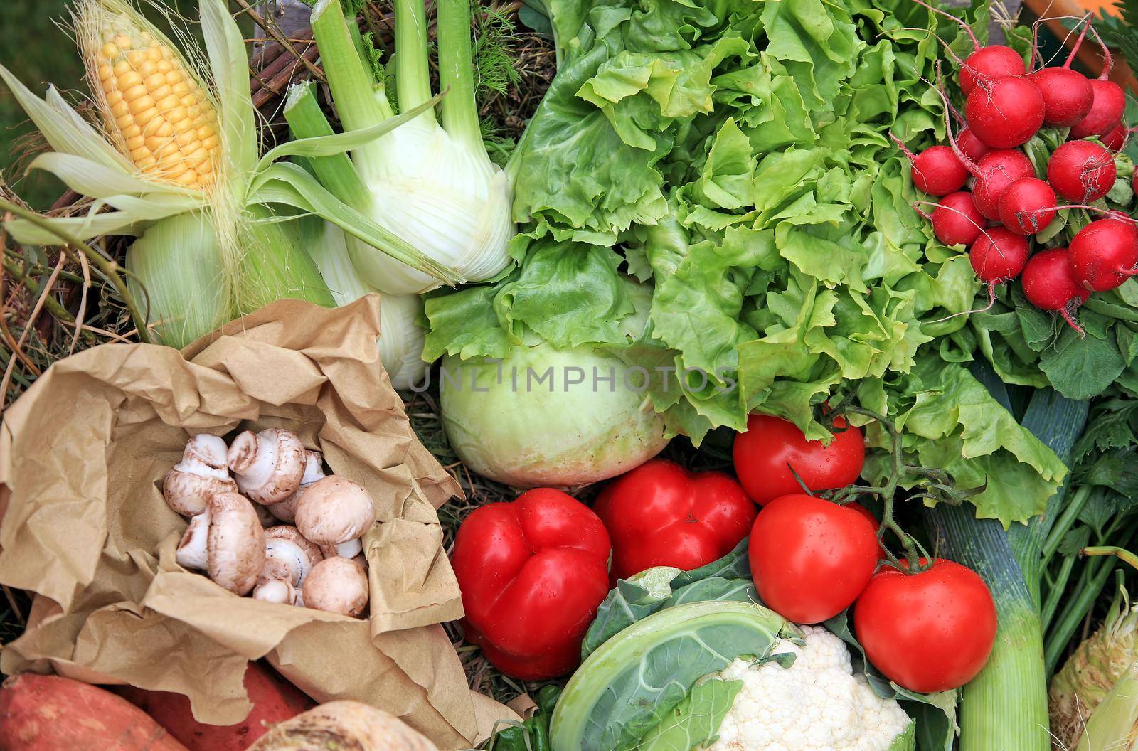 Various vegetables on the table