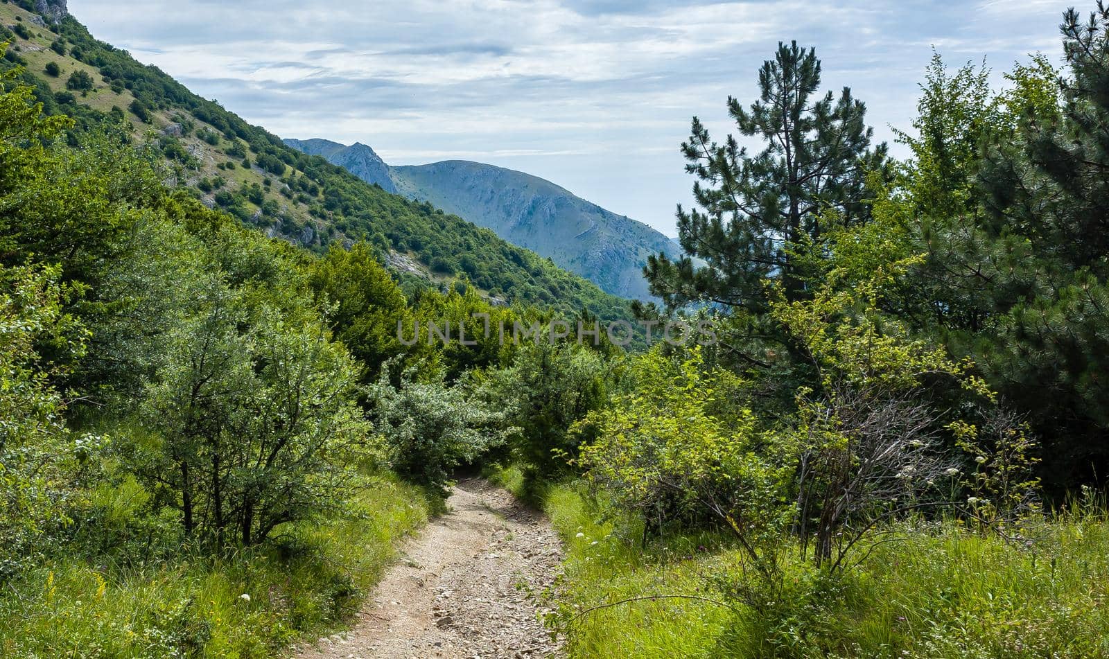 Country road against the backdrop of inaccessible rocks surrounded by green forest.