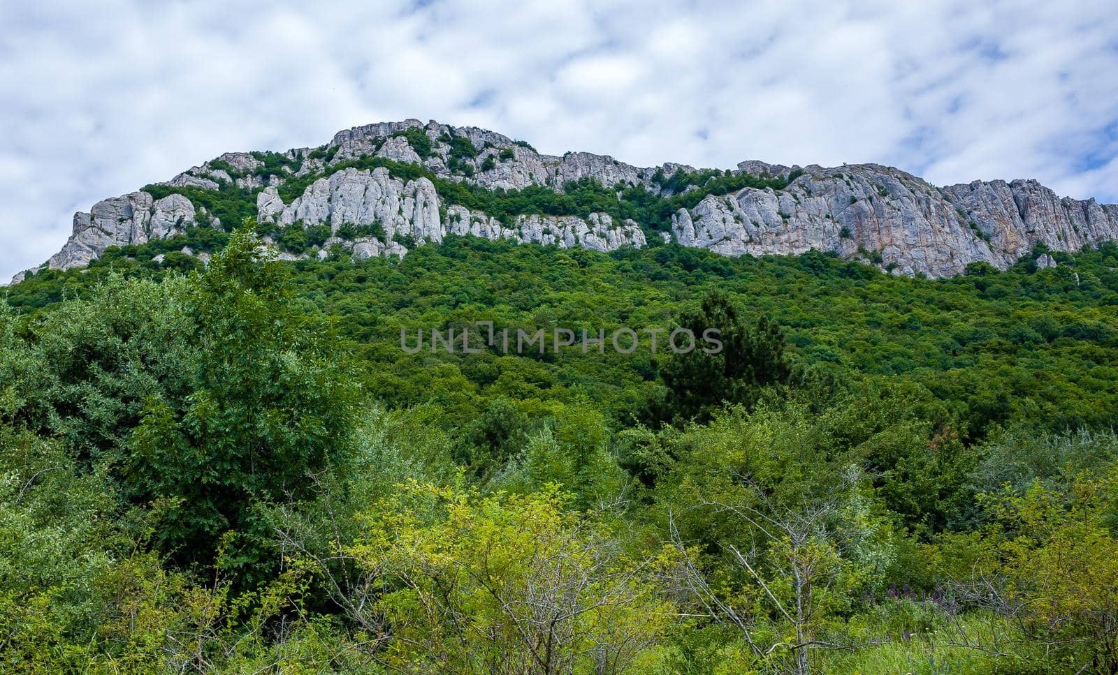 Inaccessible rocks surrounded by green forests and shrubs in hot summers in clear sunny weather.