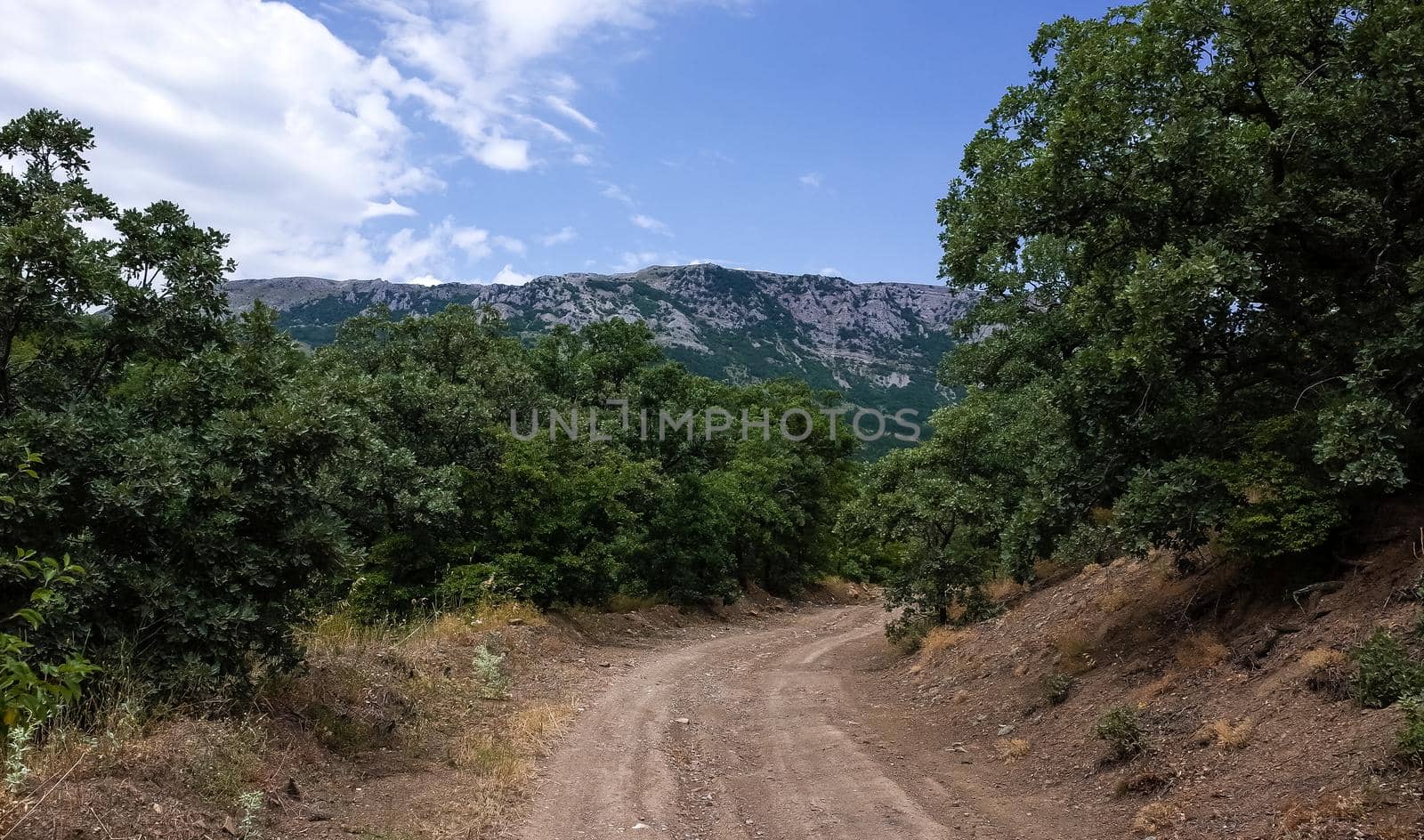 Country road against the backdrop of inaccessible rocks surrounded by green forest.