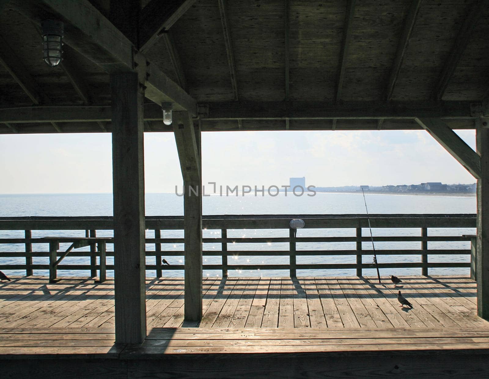Scenes of Myrtle Beach State Park