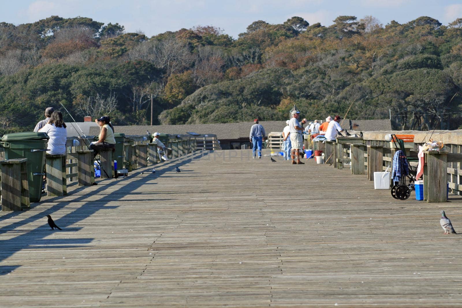 Scenes of Myrtle Beach State Park