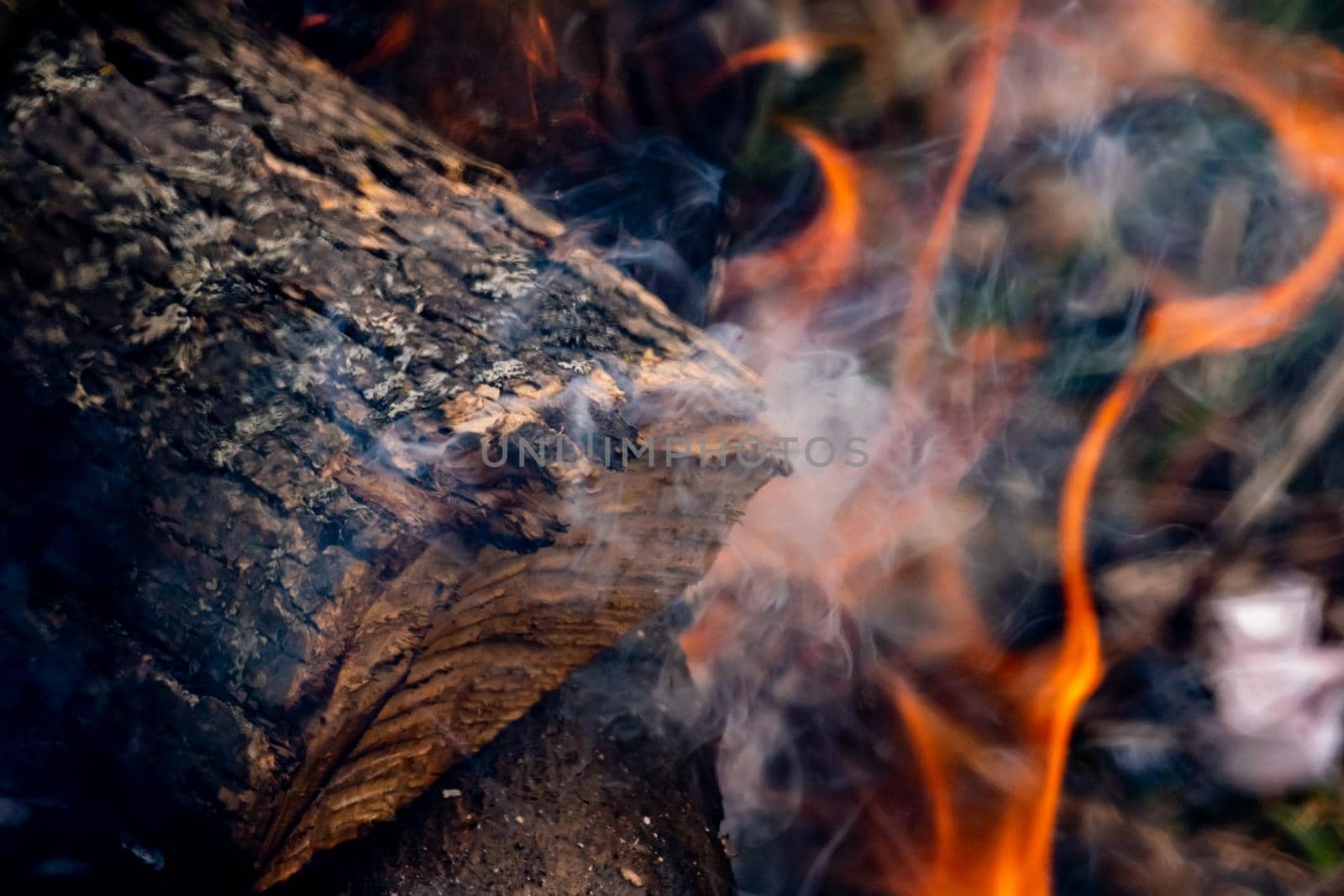 Smoke and burning wood close-up in outdoor campfire by colintemple