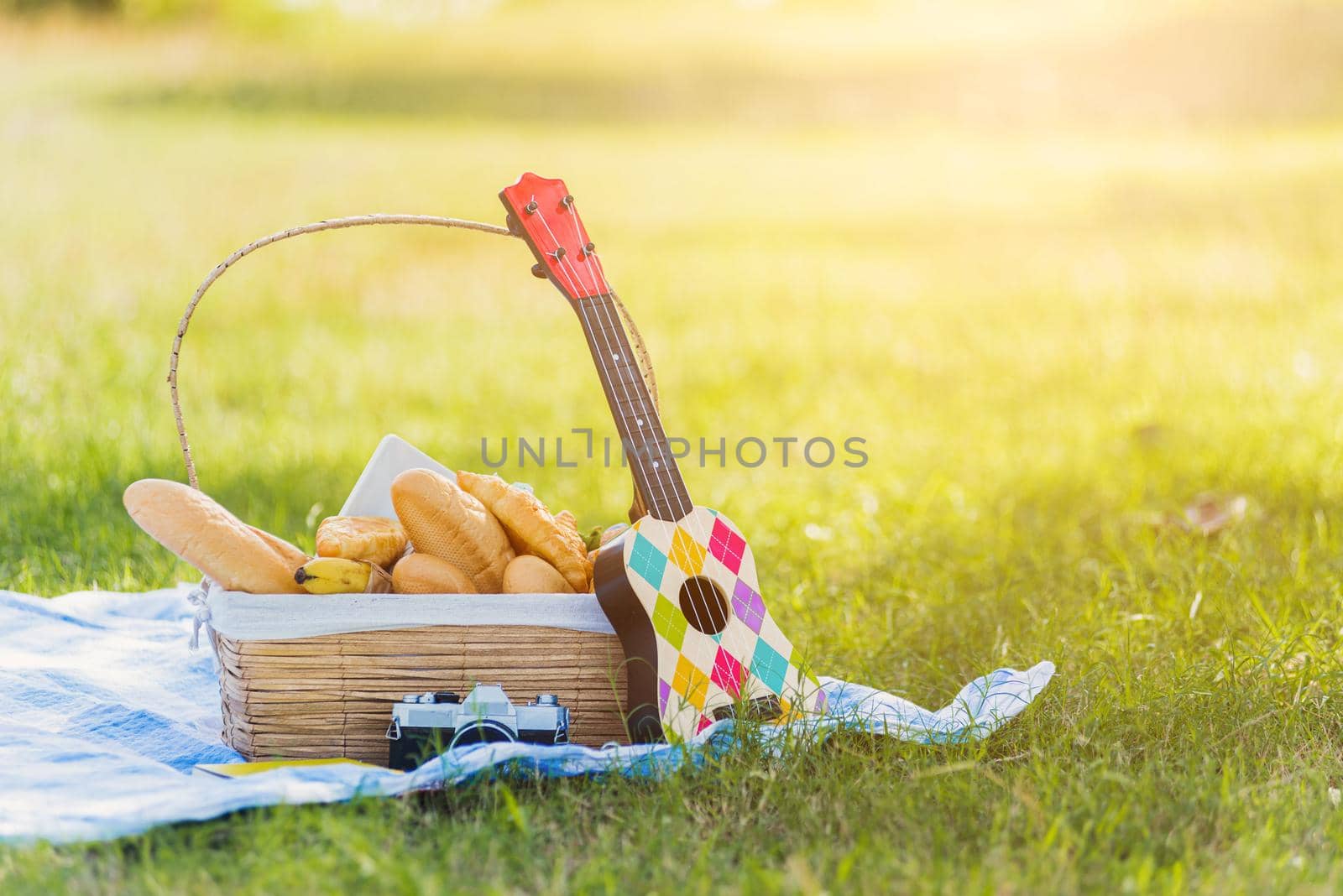 Picnic wattled basket with bread food and fruit, Ukulele, a retro camera on blue cloth in green grass garden with copy space at sunny summertime