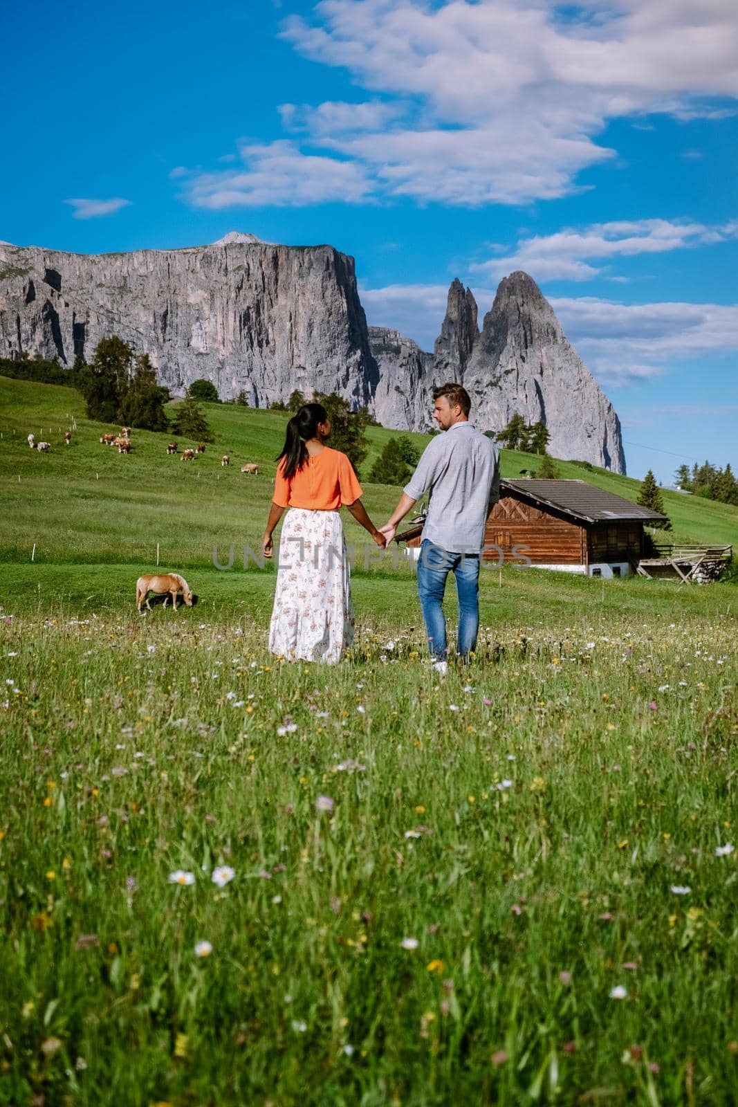 couple men and woman on vacation in the Dolomites Italy, Alpe di Siusi - Seiser Alm Dolomites, Trentino Alto Adige, South Tyrol, Italy. Europe