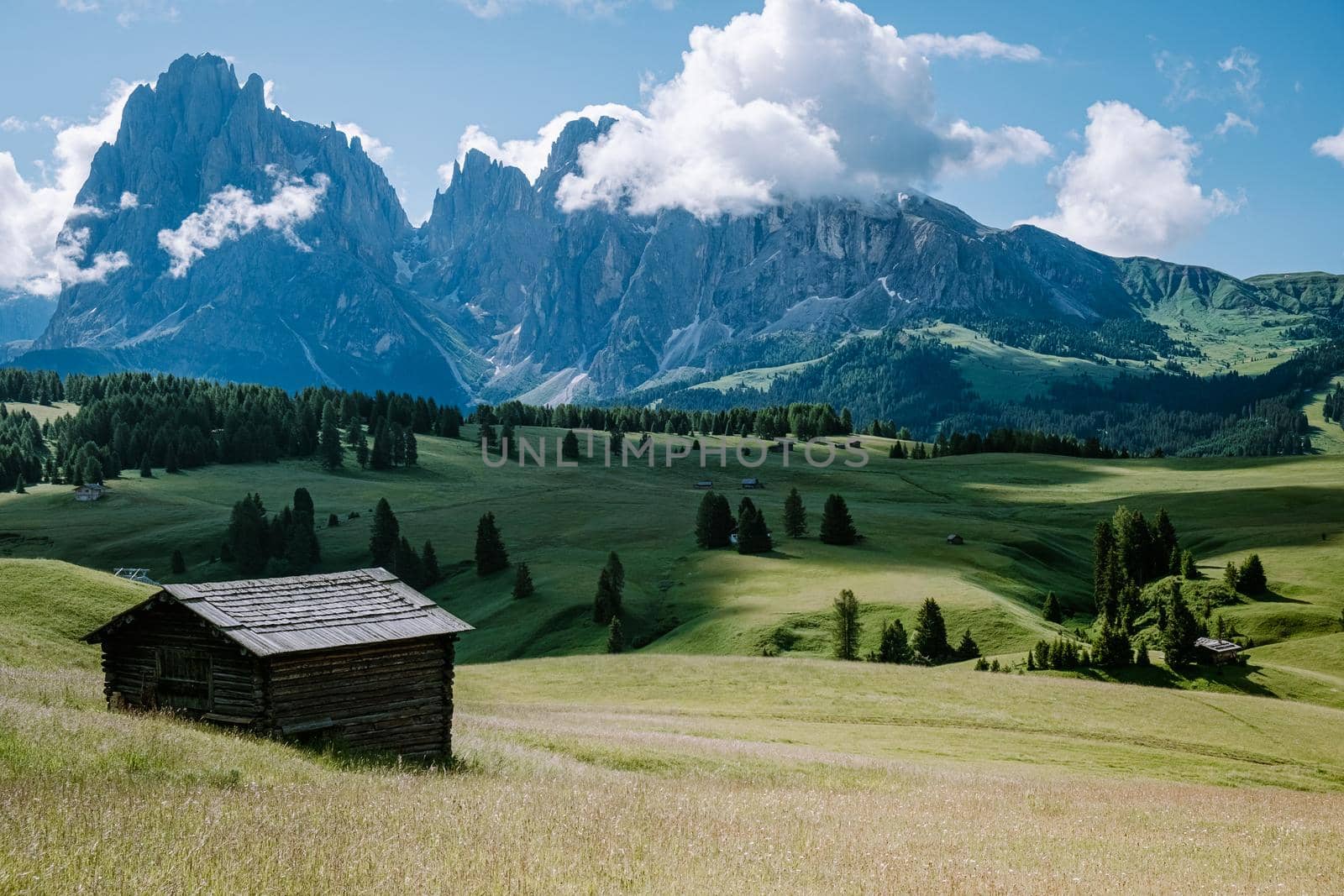 Alpe di Siusi - Seiser Alm with Sassolungo - Langkofel mountain group in background at sunset. Yellow spring flowers and wooden chalets in Dolomites, Trentino Alto Adige, South Tyrol, Italy, Europe by fokkebok