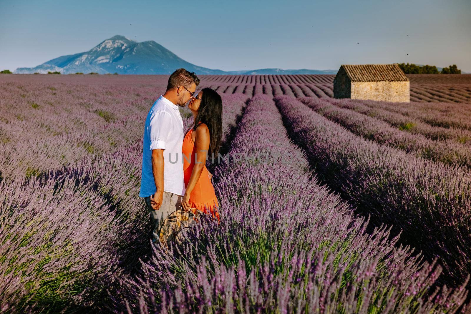 Couple men and woman on vacation at the provence lavender fields, Provence, Lavender field France, Valensole Plateau, colorful field of Lavender Valensole Plateau, Provence, Southern France. Lavender field by fokkebok