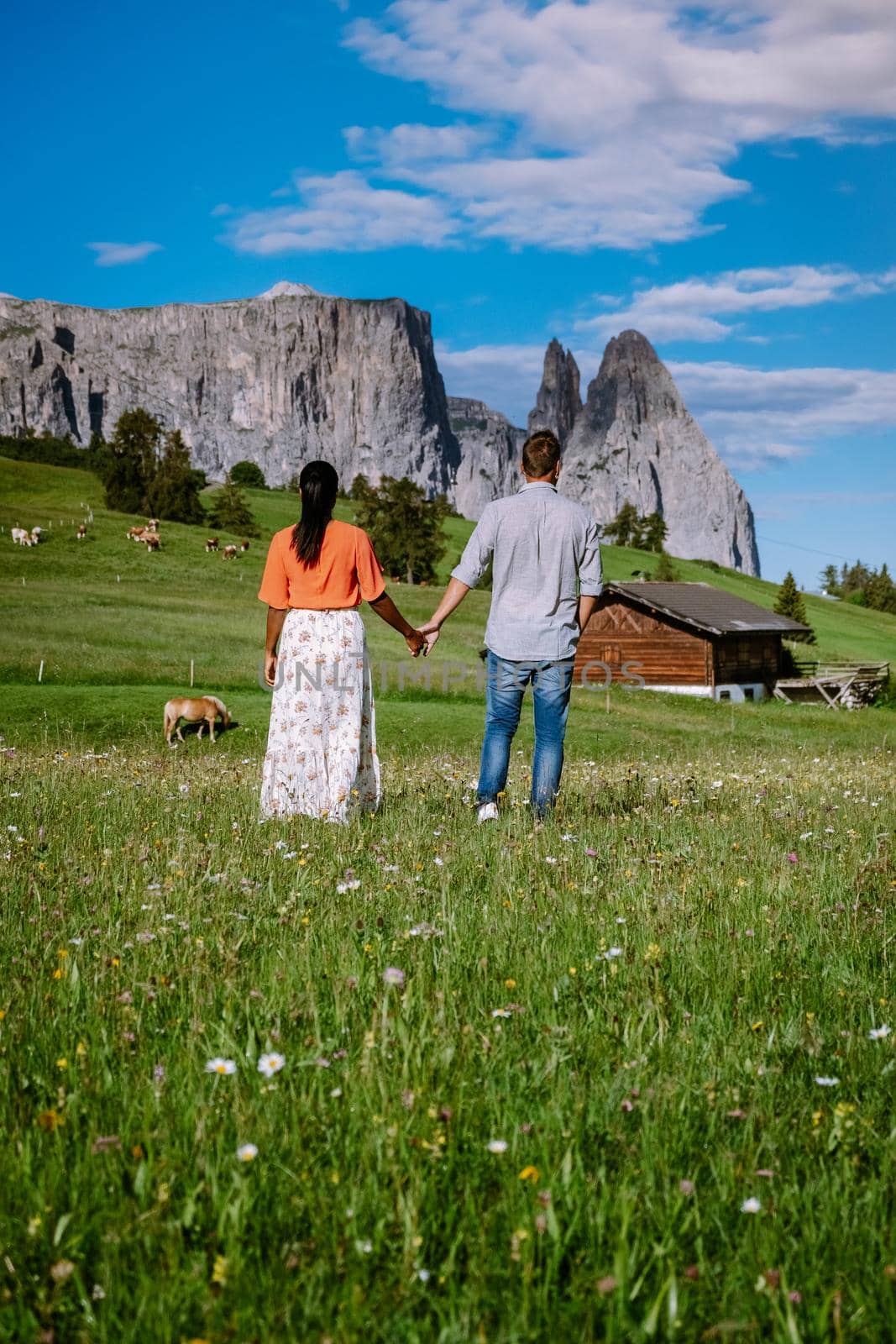 couple men and woman on vacation in the Dolomites Italy, Alpe di Siusi - Seiser Alm Dolomites, Trentino Alto Adige, South Tyrol, Italy. Europe