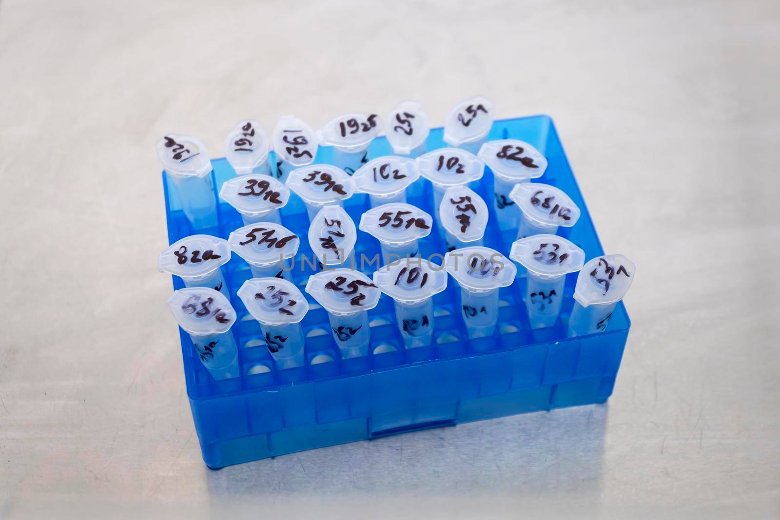 Numbered small test tubes in a blue rack. by Jannetta