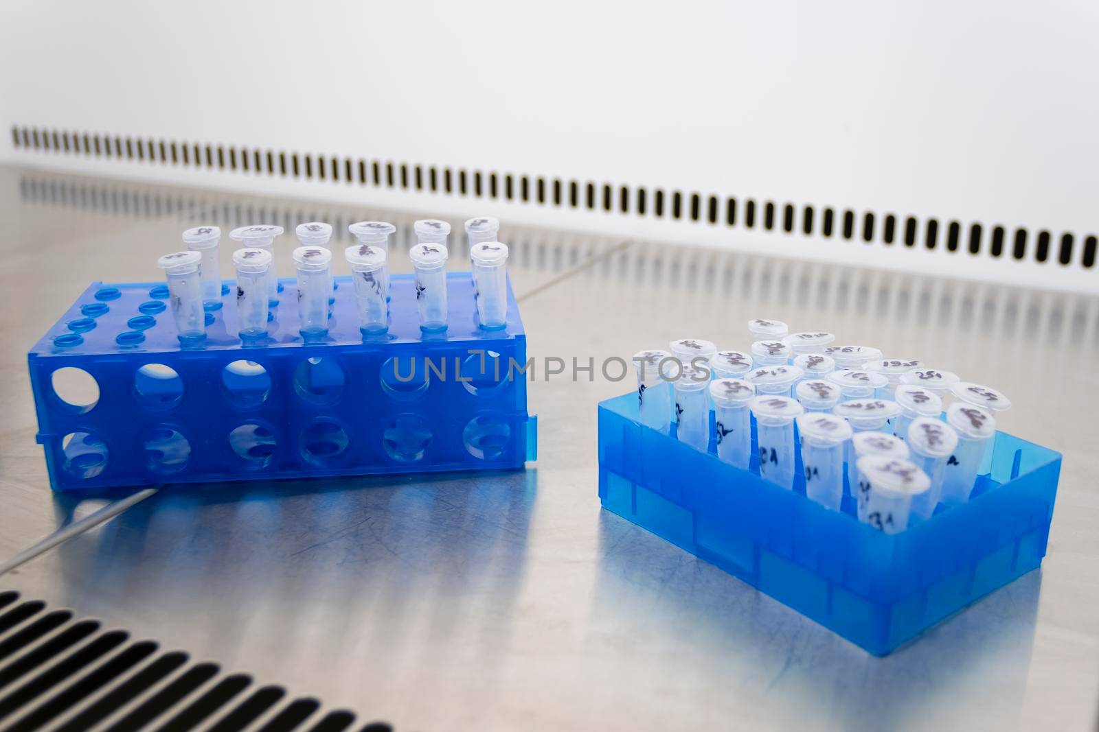 Two racks withbacterial samples for experiment in the laboratory.
