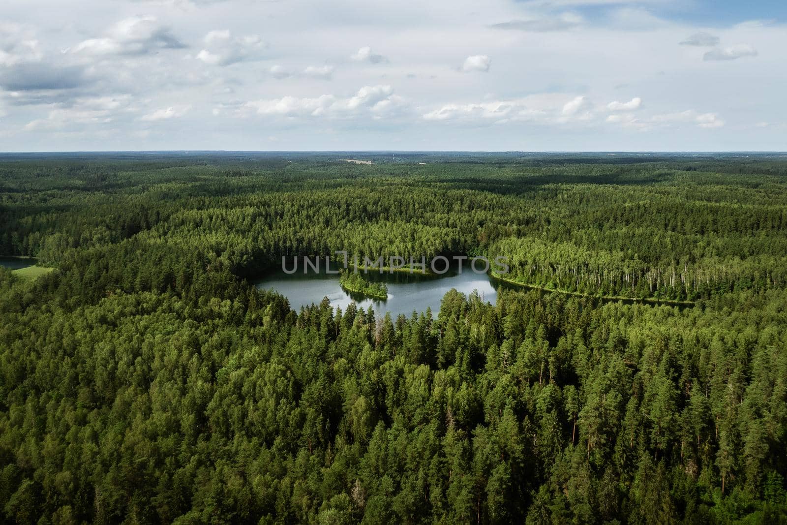 Top view of a forest lake