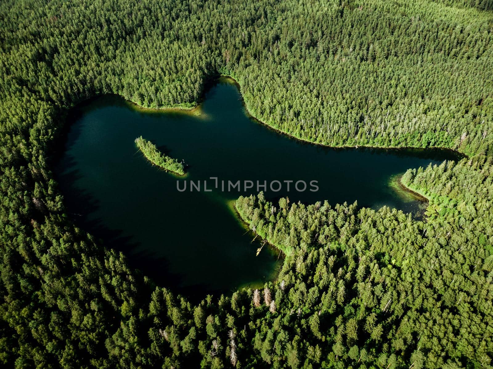 Top view of a forest lake