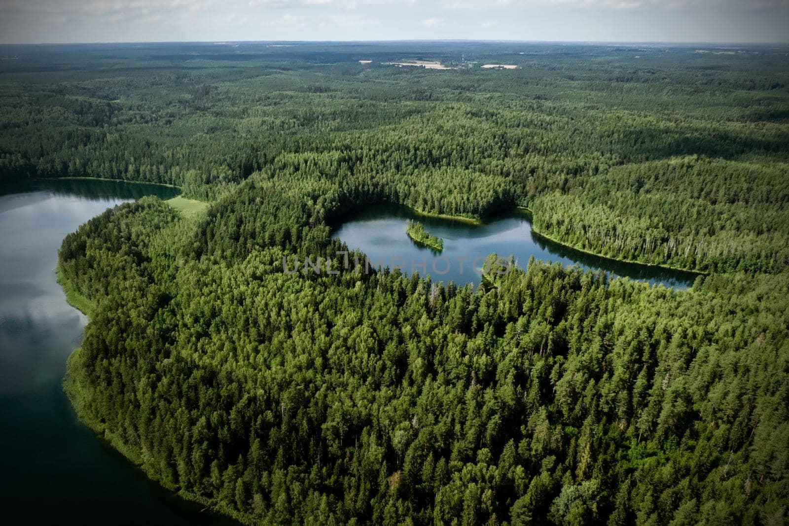 Top view of a forest lake