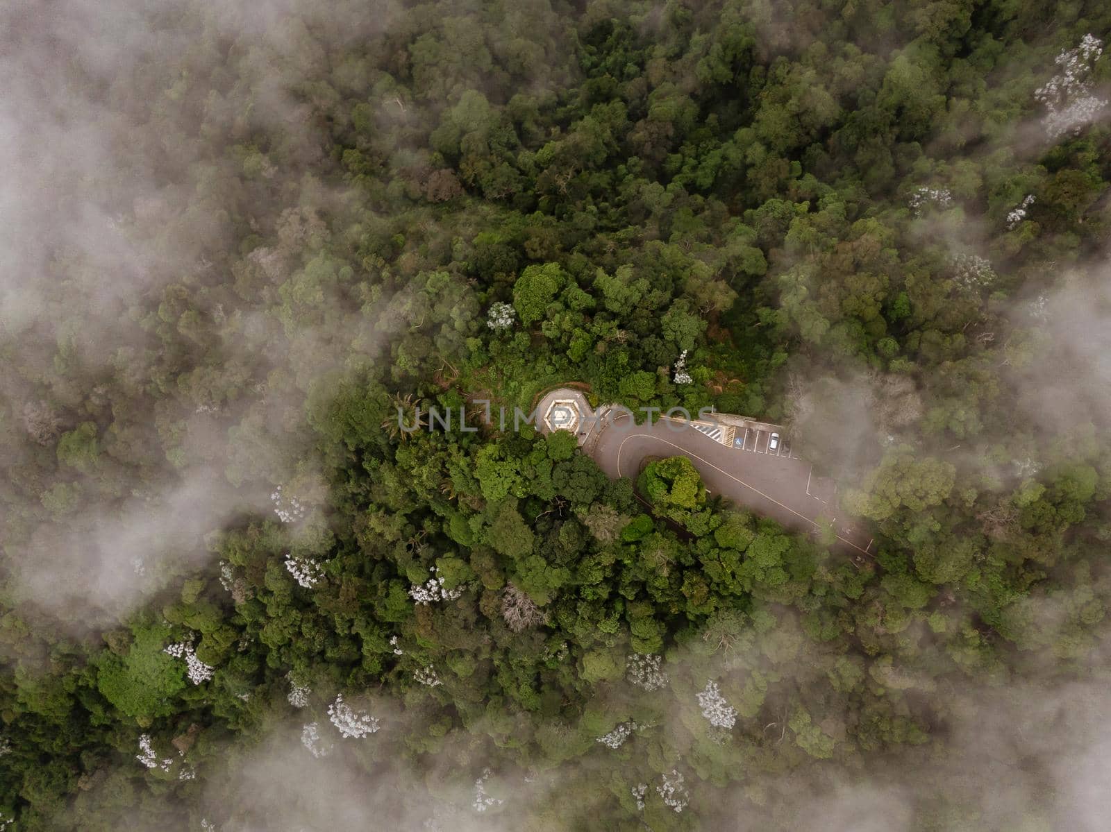 Top view through clouds on green forest and road. by 9parusnikov
