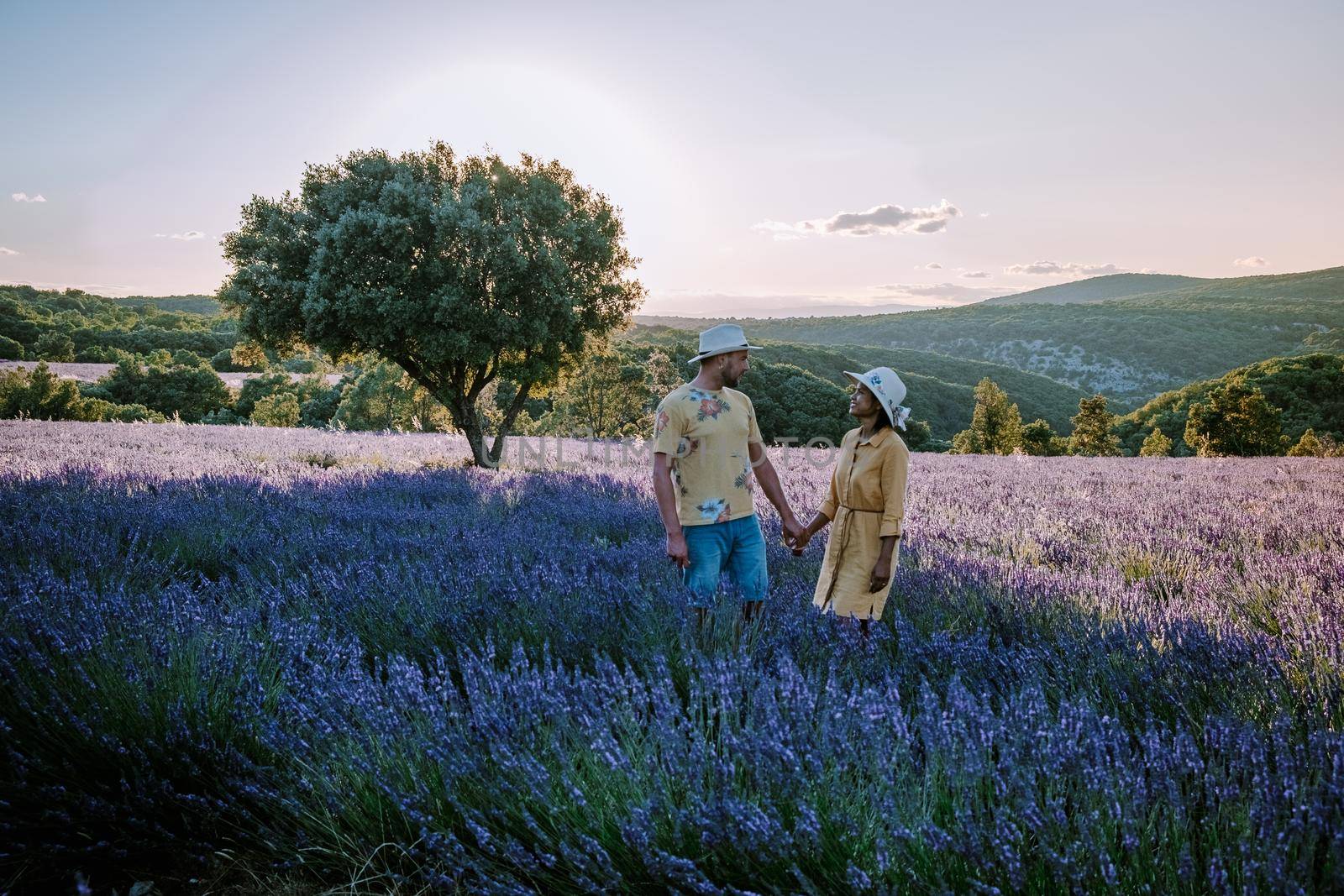 couple men and woman watching sunset in lavender fields in the south of France, Ardeche lavender fields iduring sunset, Lavender fields in Ardeche in southeast France.Europe