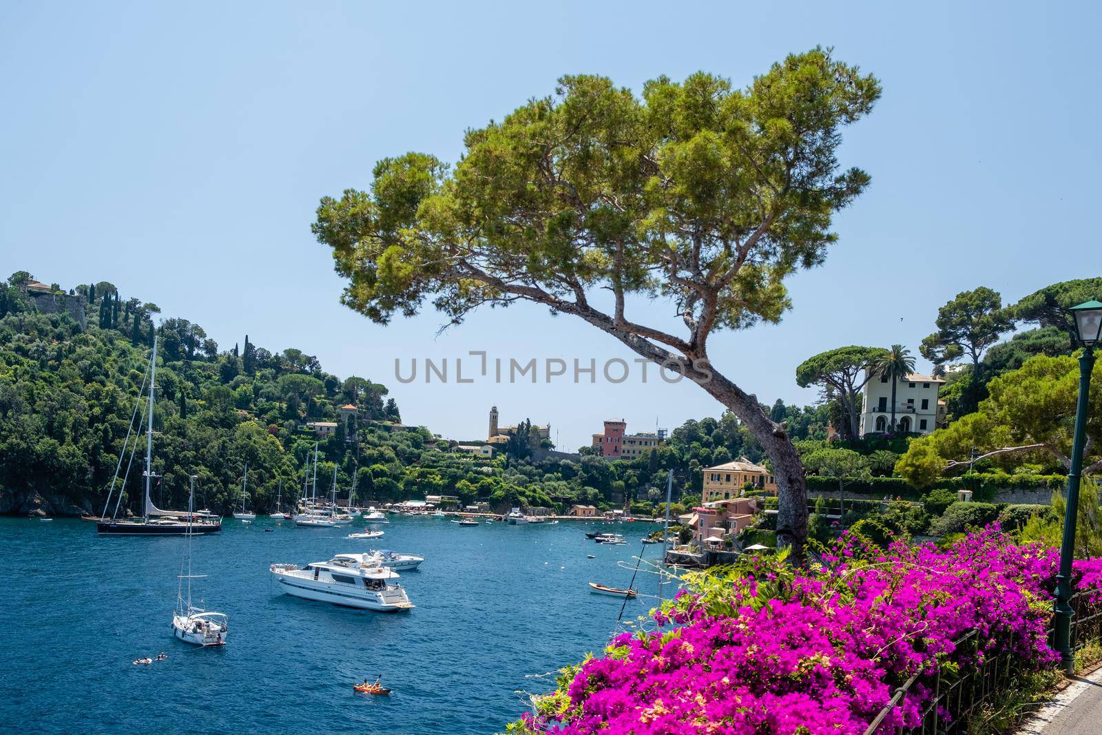 Portofino famous village bay, Italy colorful village Ligurian coast by fokkebok