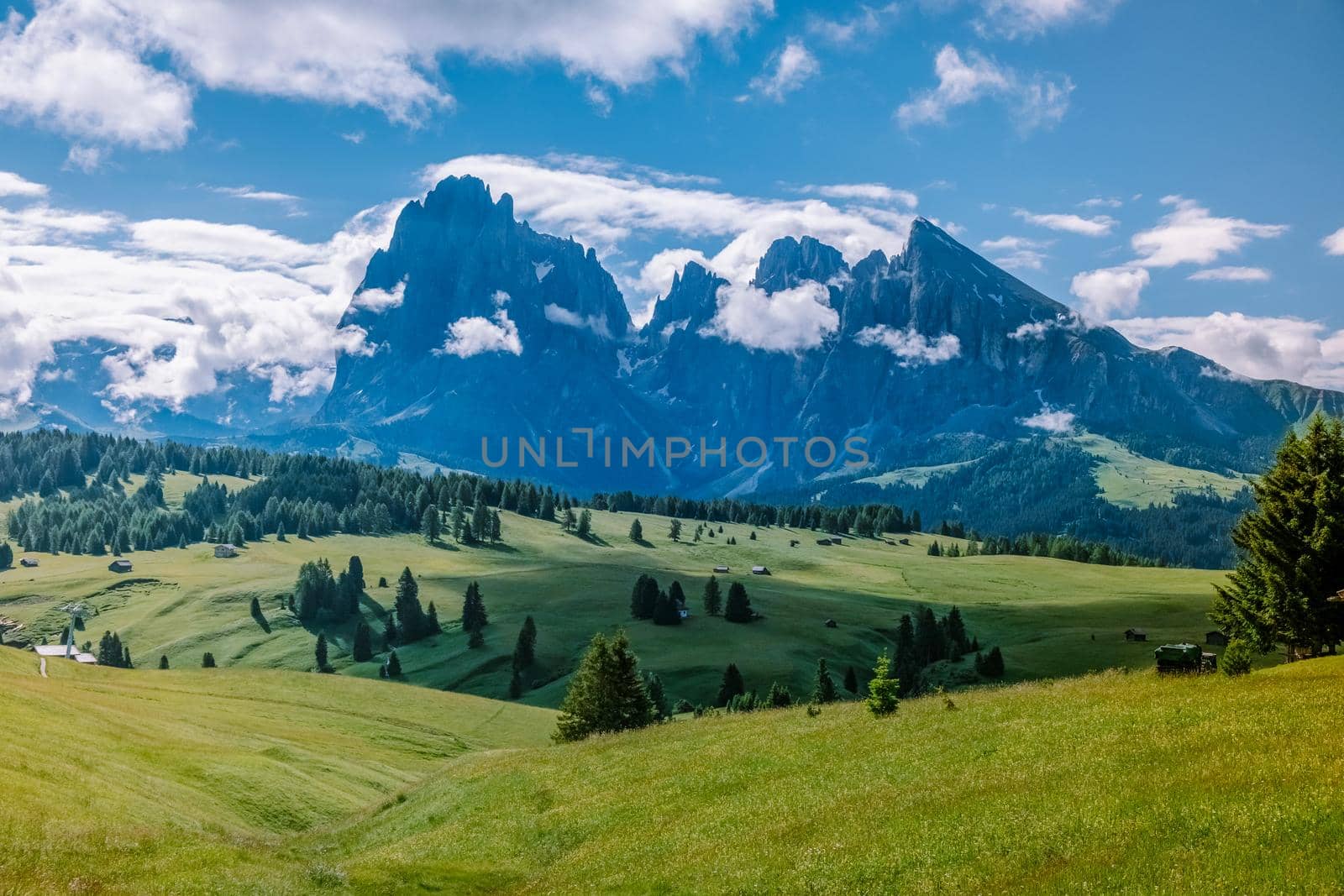 Alpe di Siusi - Seiser Alm with Sassolungo - Langkofel mountain group in background at sunset. Yellow spring flowers and wooden chalets in Dolomites, Trentino Alto Adige, South Tyrol, Italy, Europe by fokkebok