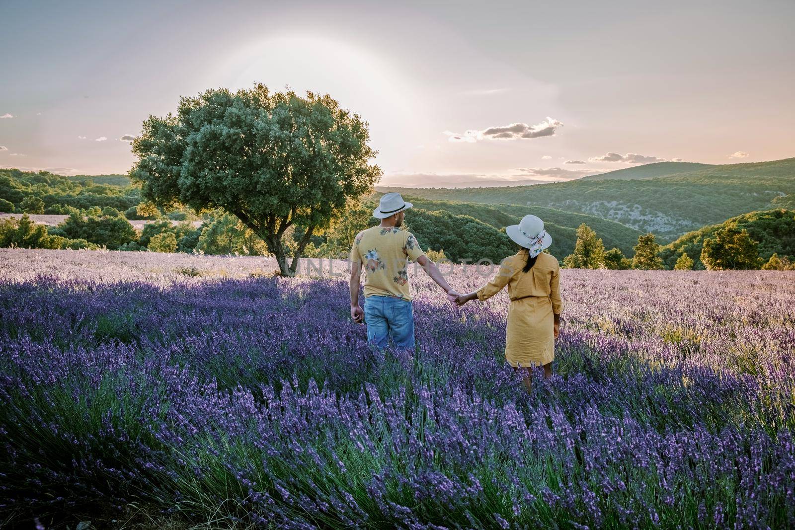 couple men and woman watching sunset in lavender fields in the south of France, Ardeche lavender fields iduring sunset, Lavender fields in Ardeche in southeast France.Europe