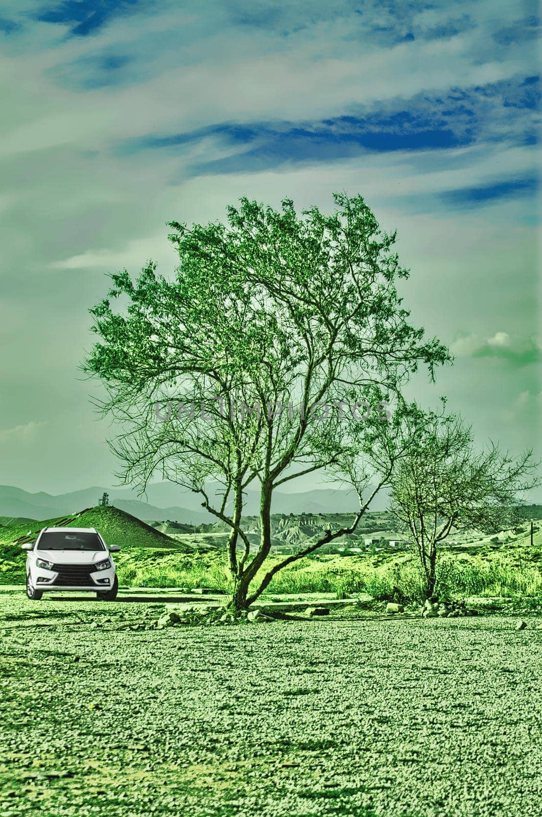 Tree green and white car. Against a blue sky and clouds. The village landscape. by Essffes
