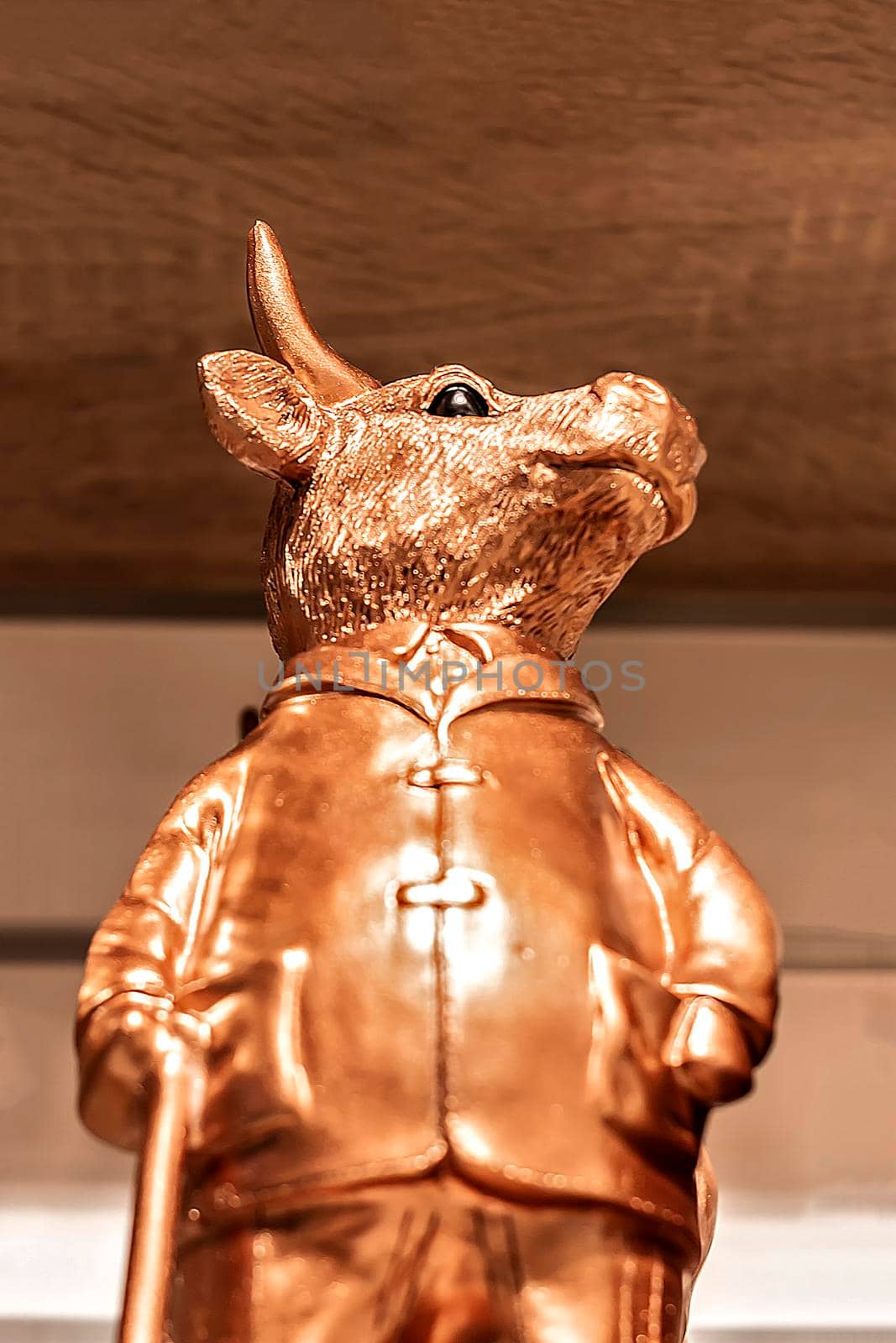 Copper bull figurine. View from the bottom up. 2021 symbol new year. Surgut, Russia - December 10, 2020. by Essffes