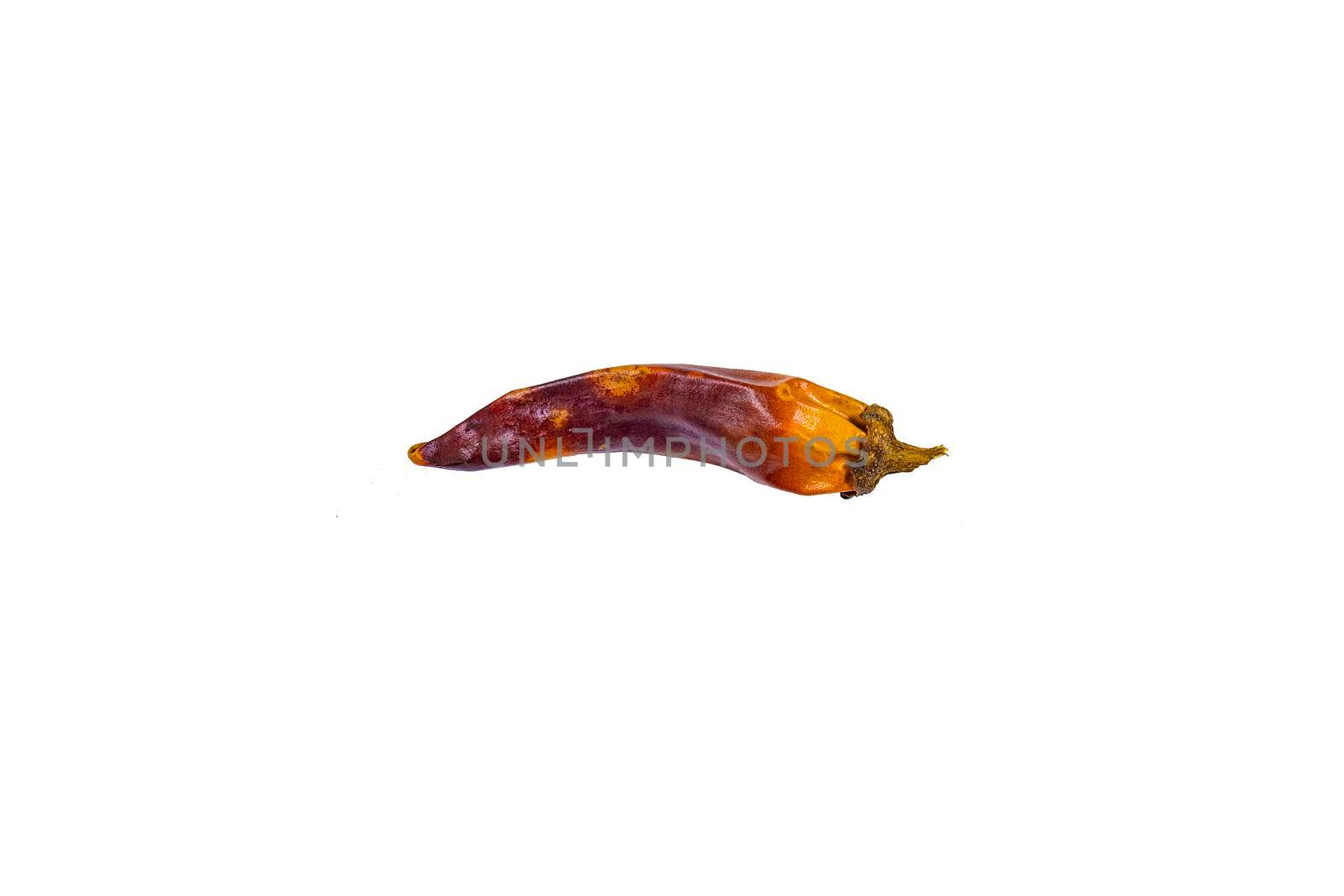 View from the front, isolate on a white background. Spicy seasoning.