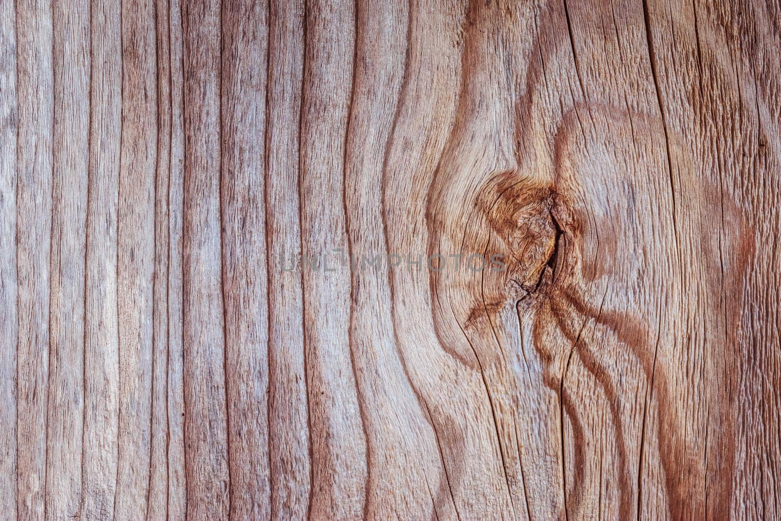 Closeup picture of old rustic wooden planks