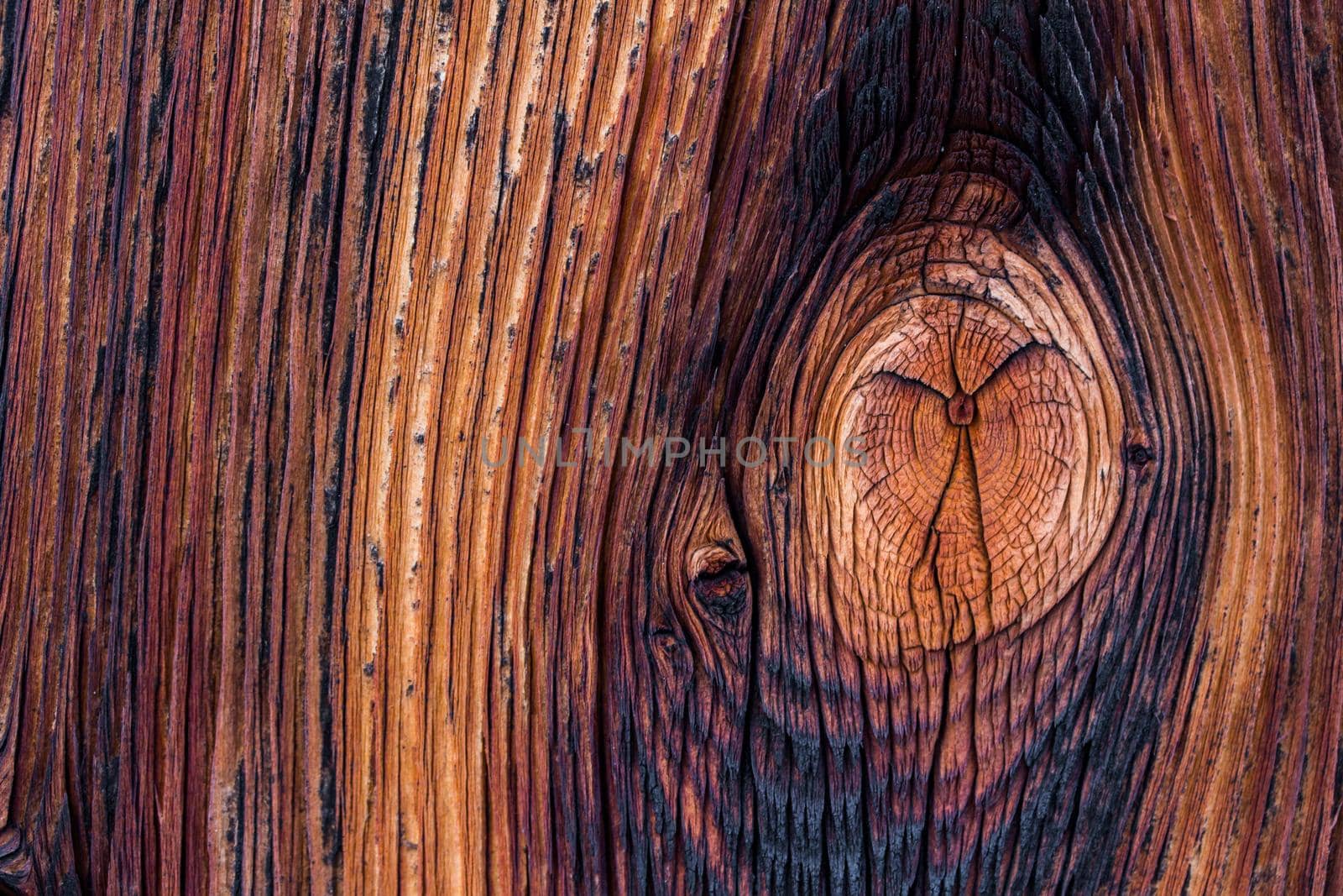 Closeup picture of old rustic wood, knothole