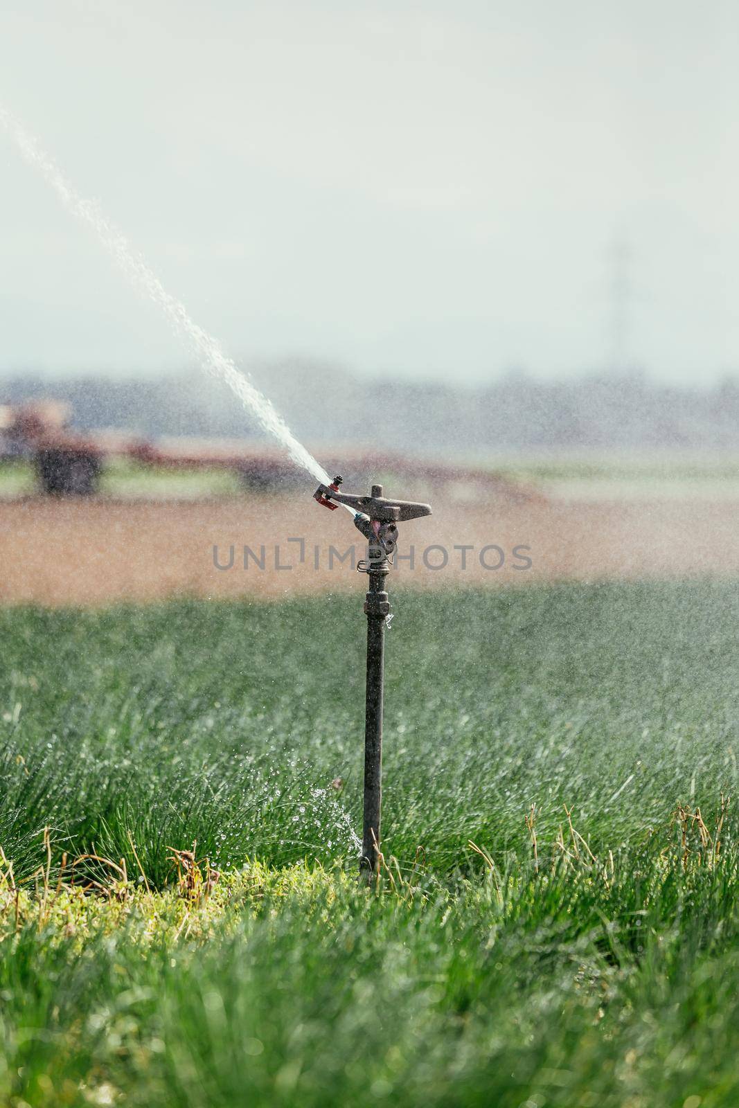 Irrigation plant on an agriculture field, summer day, soil