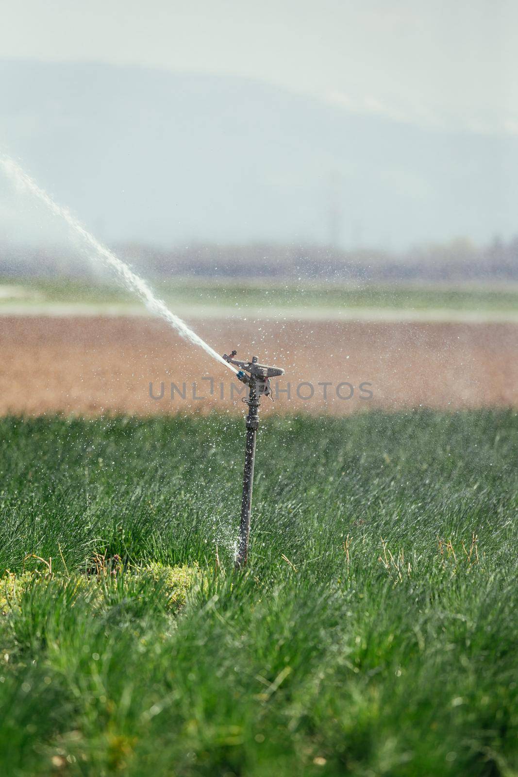 Irrigation plant on an agriculture field, summer day, soil