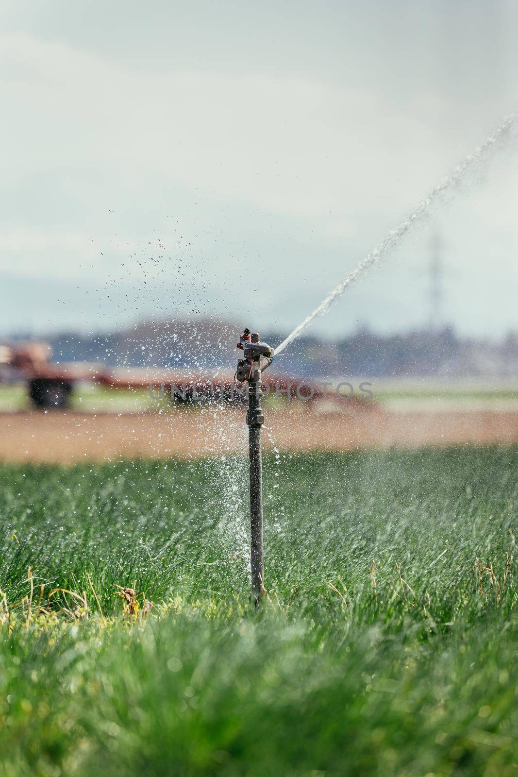 Irrigation plant on an agriculture field, summer day, soil