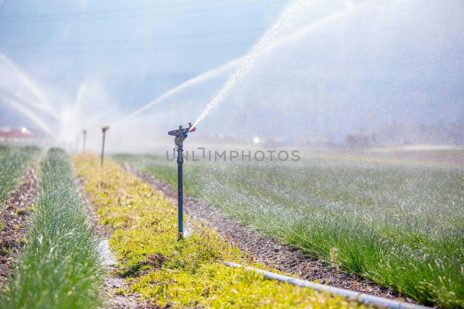 Irrigation plant on an agriculture field, summer day, soil