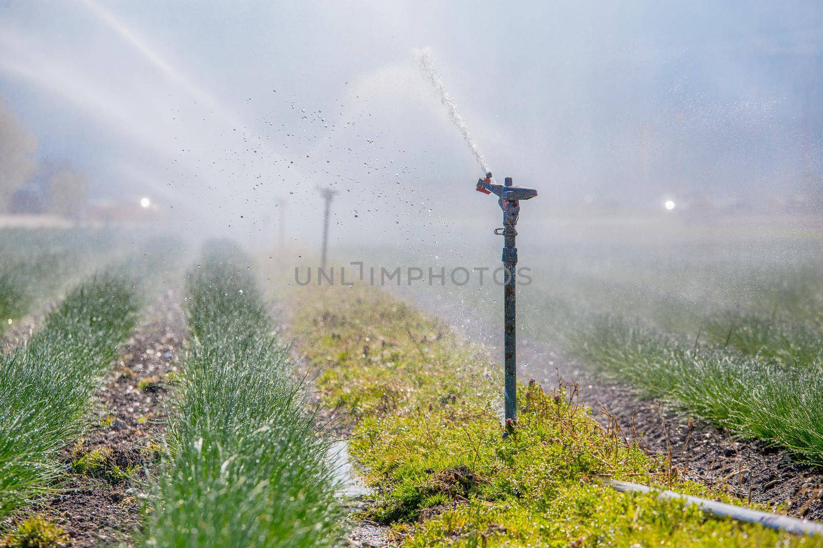 Irrigation plant on an agriculture field, summer day, soil