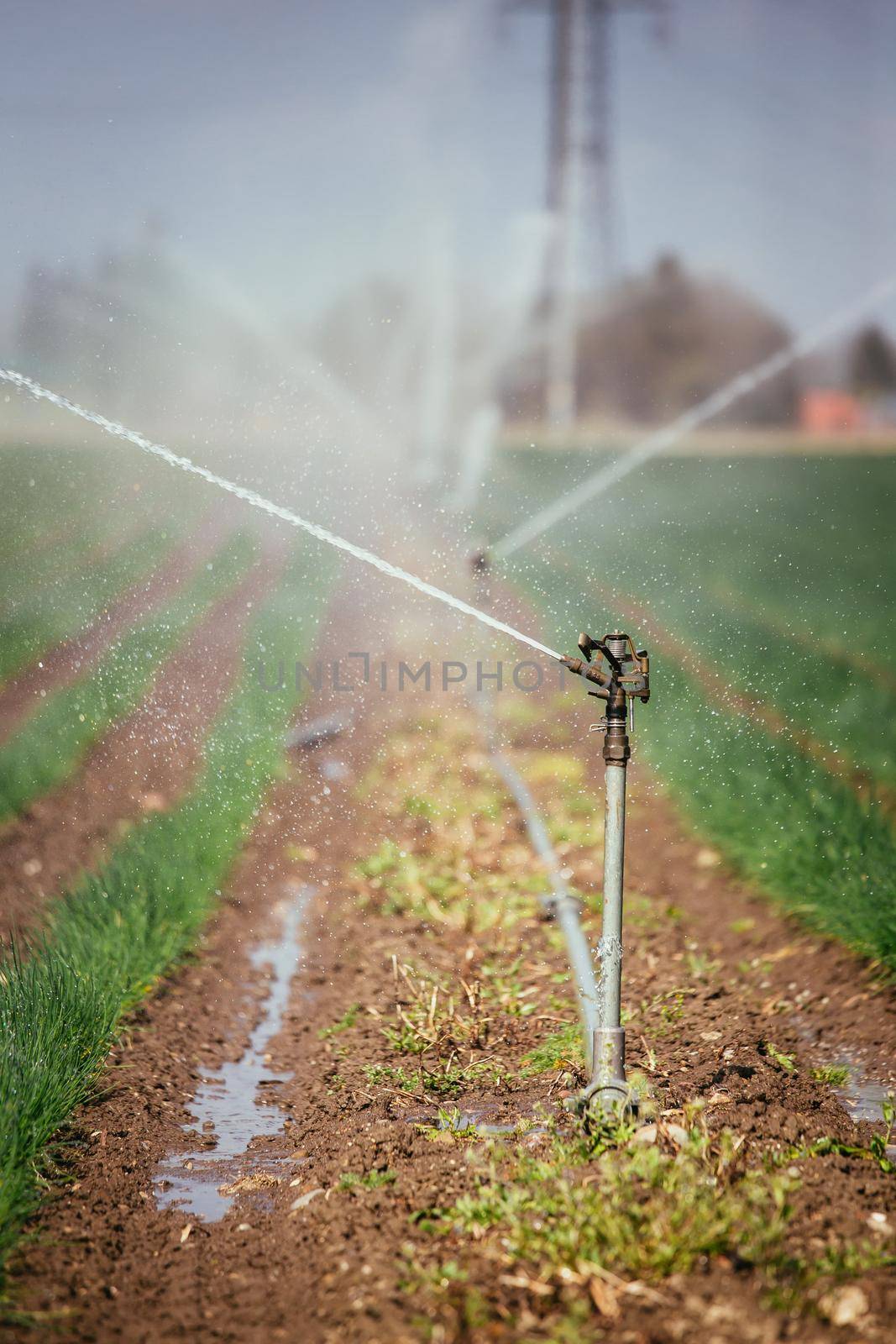 Irrigation plant on an agriculture field, summer day, soil