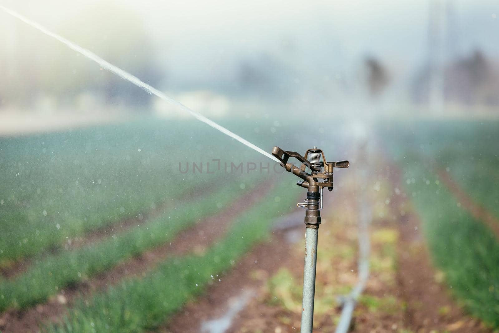Irrigation plant on an agriculture field, summer day, soil