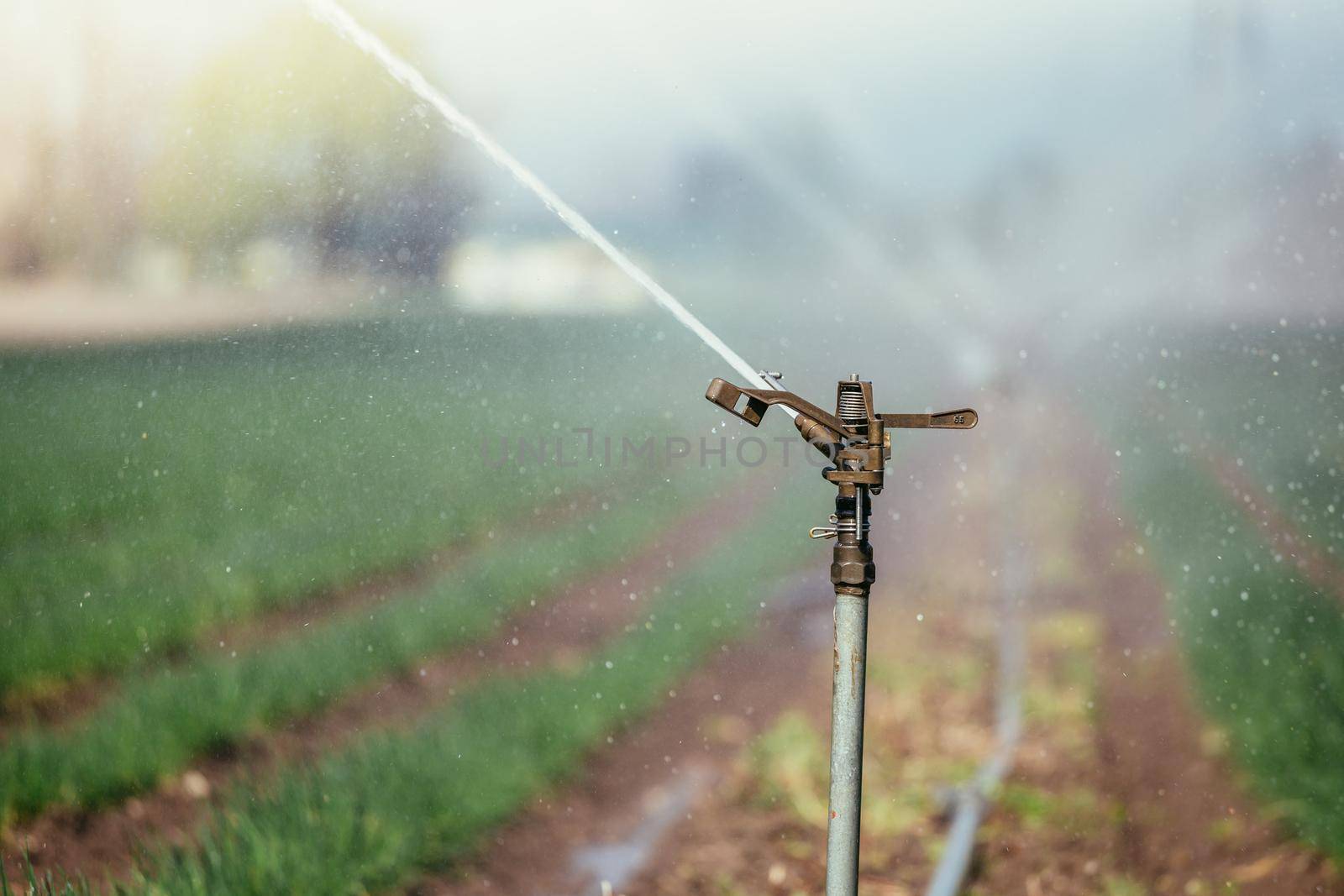 Irrigation plant on an agriculture field, summer day, soil