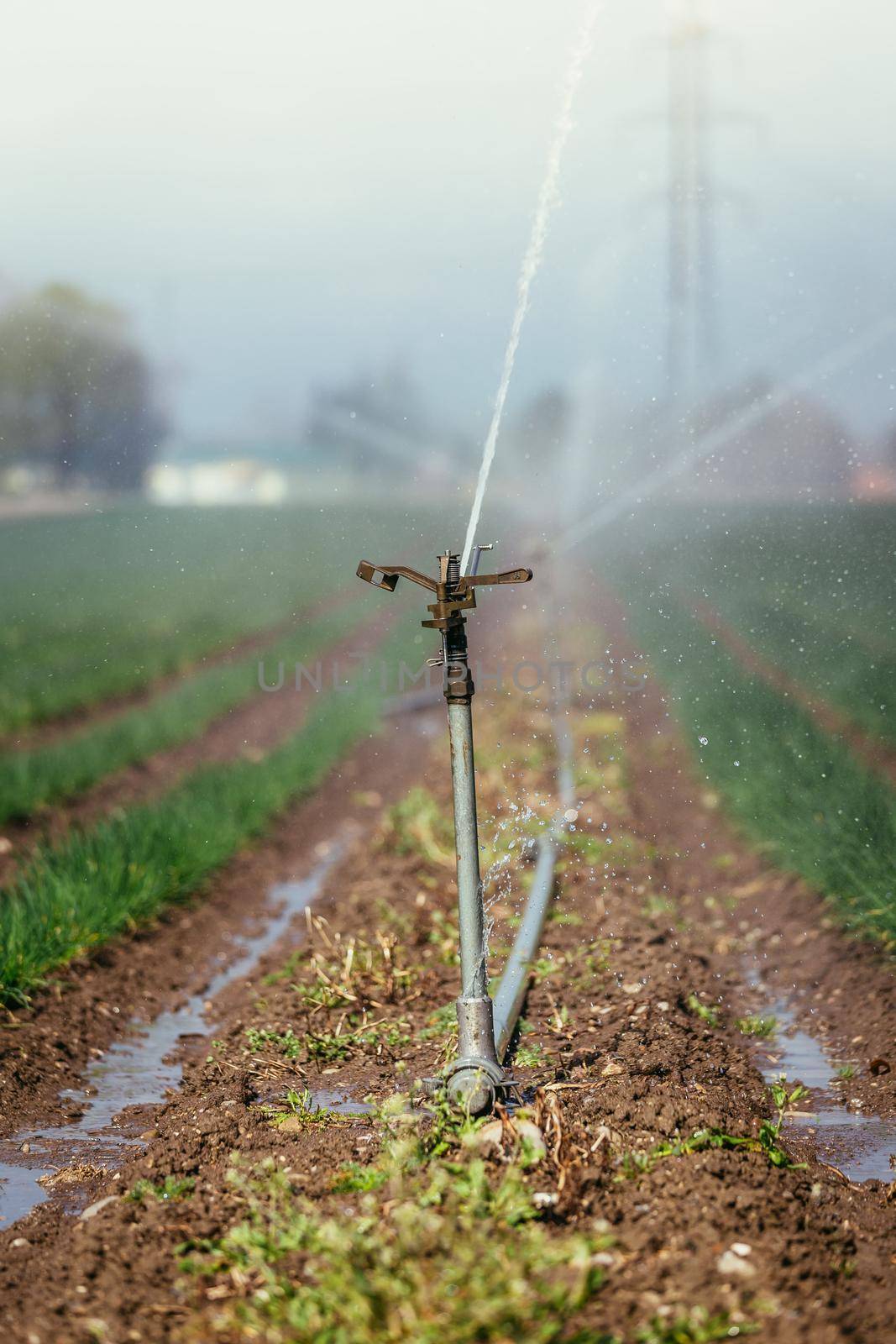 Irrigation plant on an agriculture field, summer day, soil