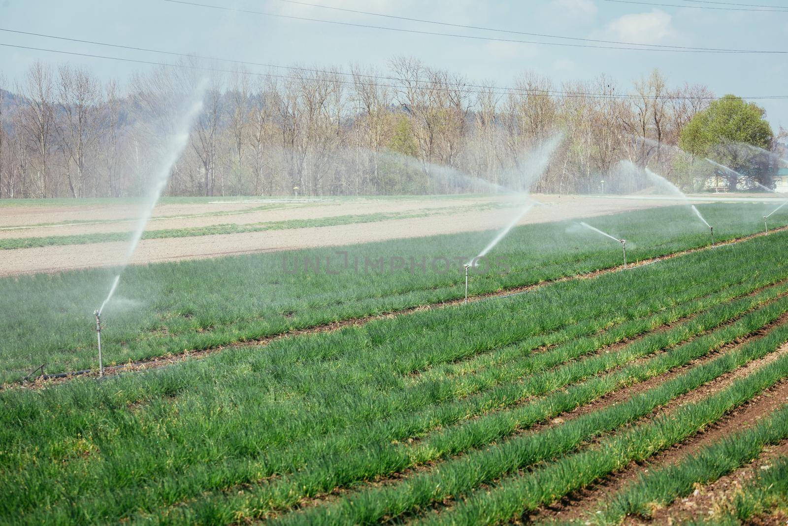 Irrigation plant on an agriculture field, summer day, soil