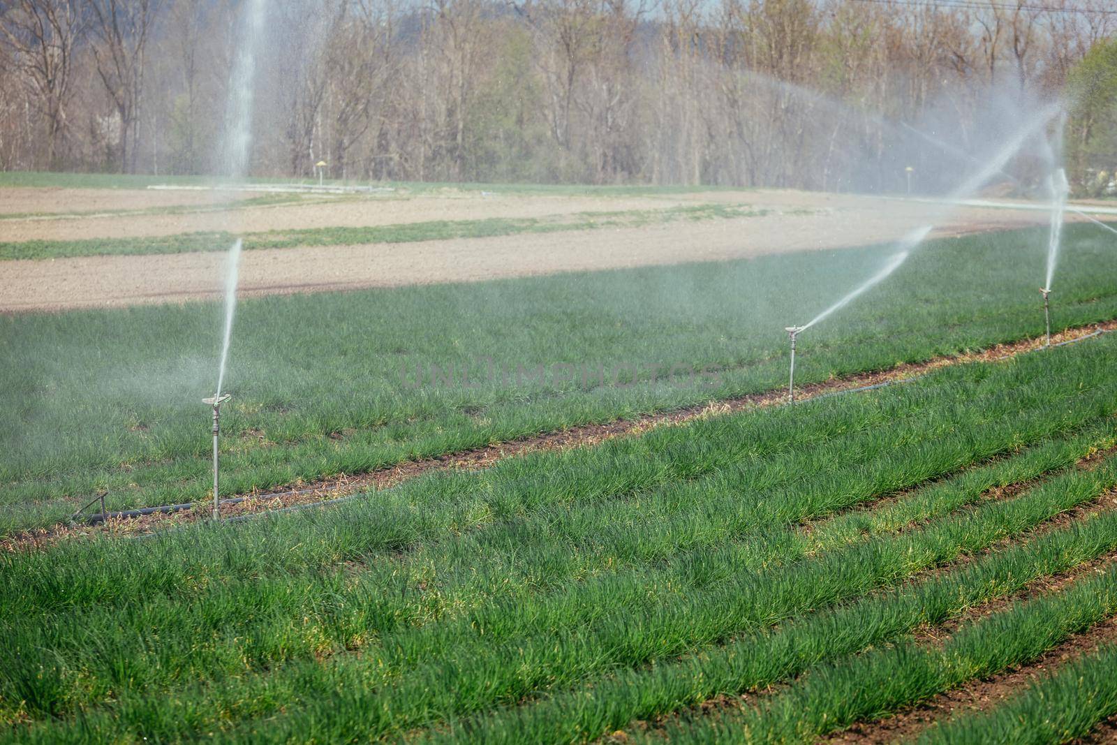 Irrigation plant on an agriculture field, summer day, soil