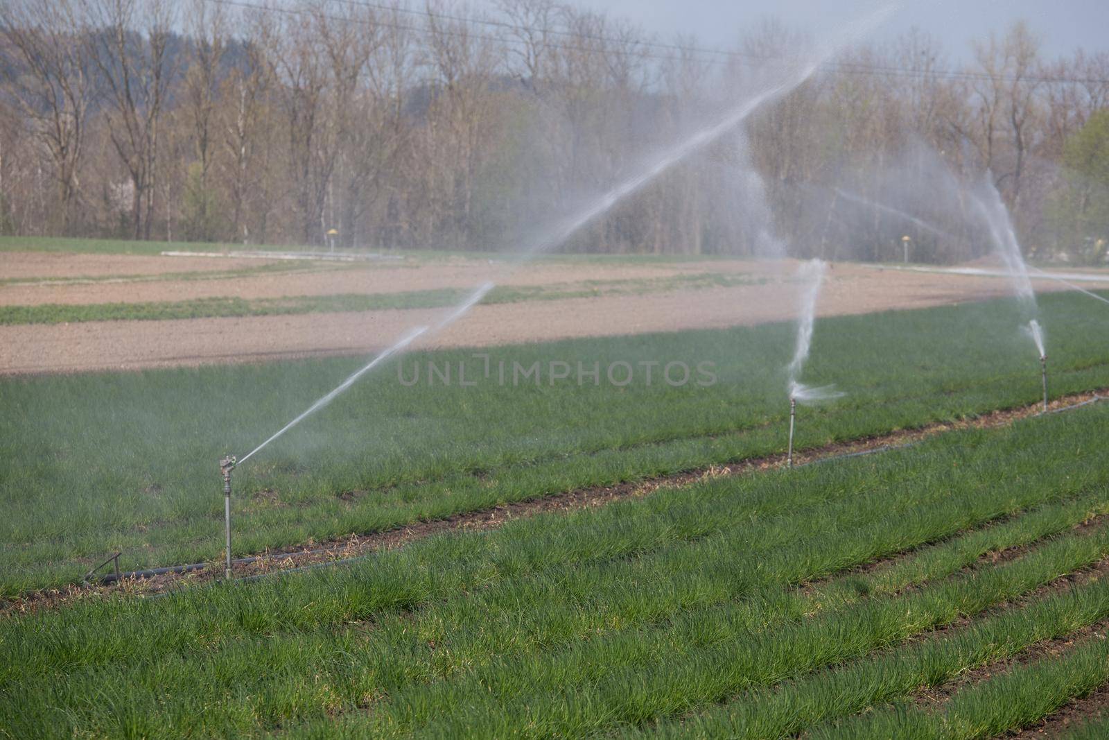 Irrigation plant on an agriculture field, summer day, soil