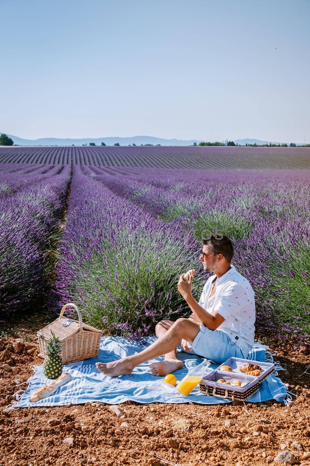 Couple men and woman on vacation at the provence lavender fields, Provence, Lavender field France, Valensole Plateau, colorful field of Lavender Valensole Plateau, Provence, Southern France. Lavender field by fokkebok