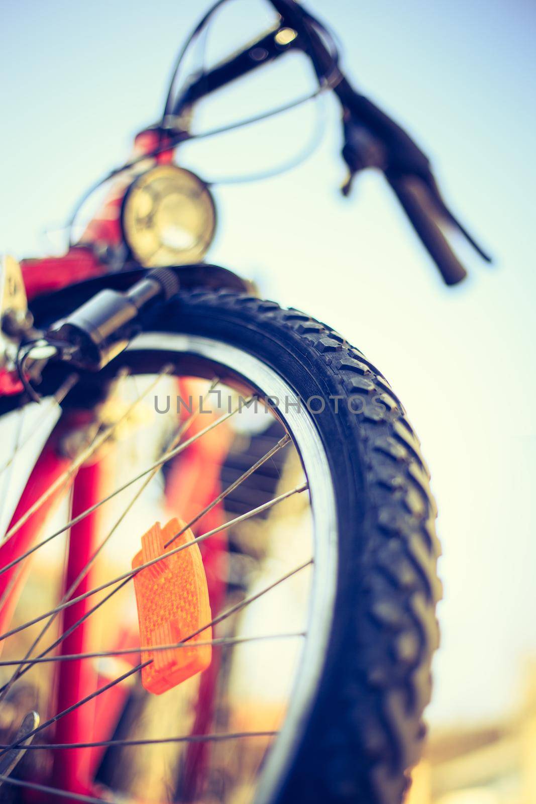 Close up picture of a mountain bike tyre, summer day. Bike in the blurry background.