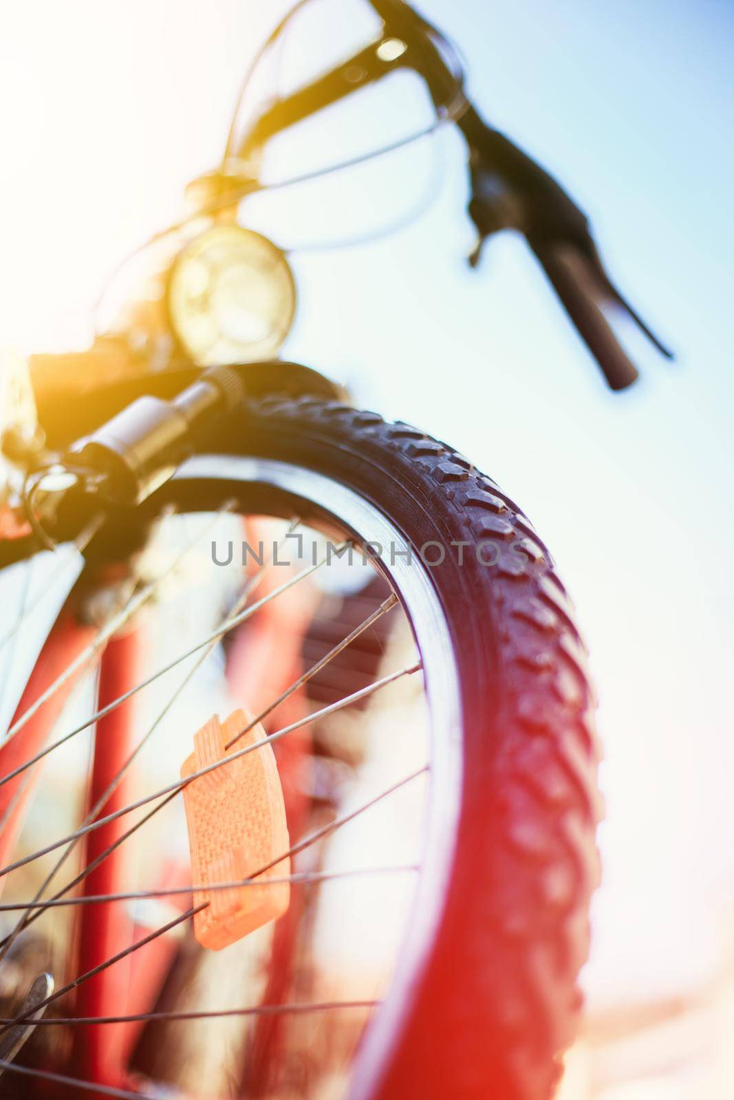 Close up picture of a mountain bike tyre, summer day. Bike in the blurry background.